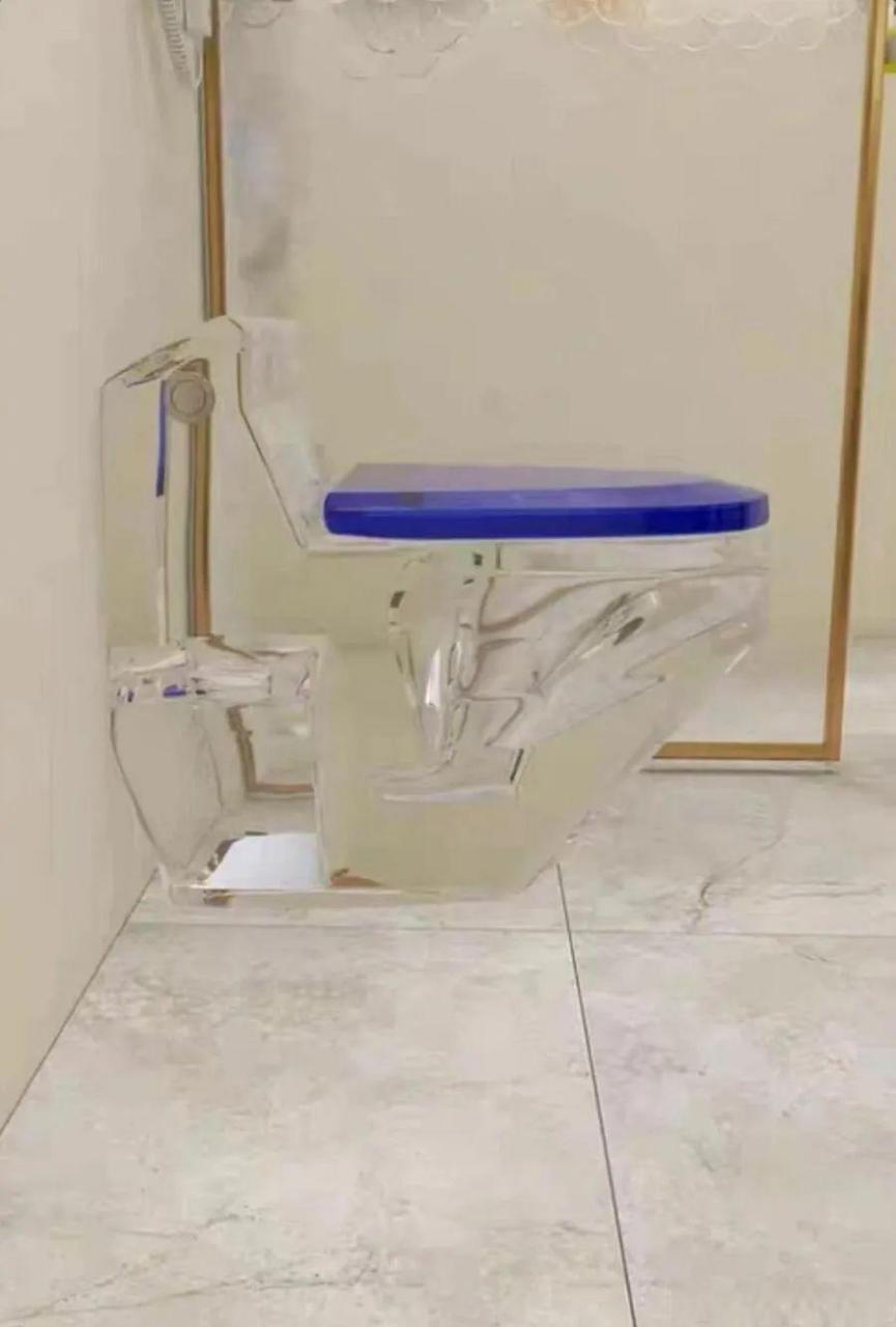 透明马桶的目的是什么[笑哭]看看自己拉的是什么样子吗