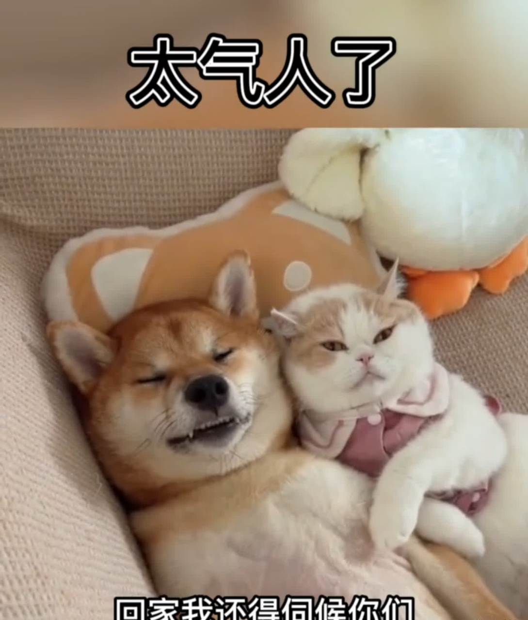 这小日子过得真好,很滋润![汗]