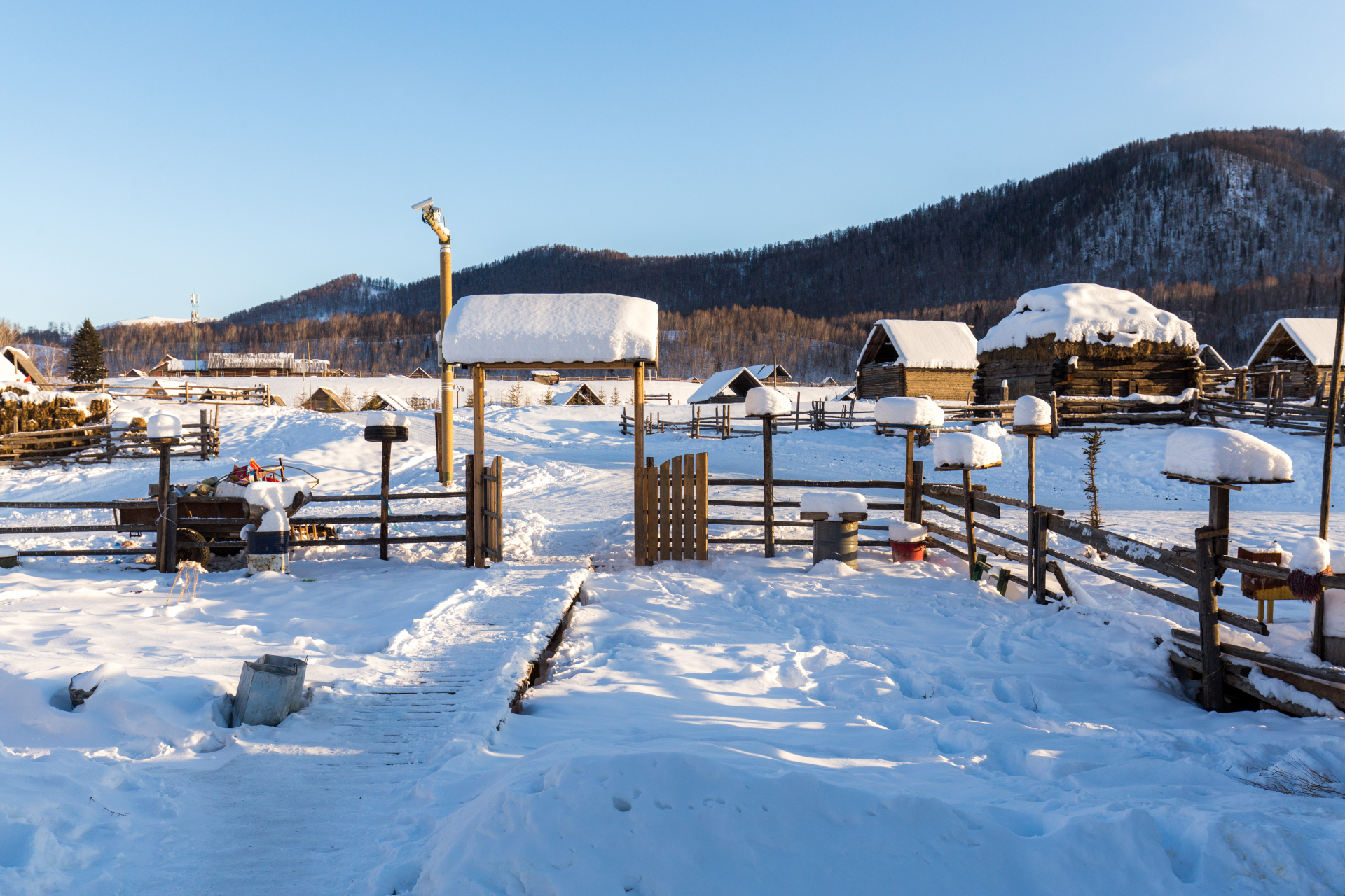 新疆禾木村的雪景如诗如画,仿佛是大自然精心打造的一幅水墨画卷.