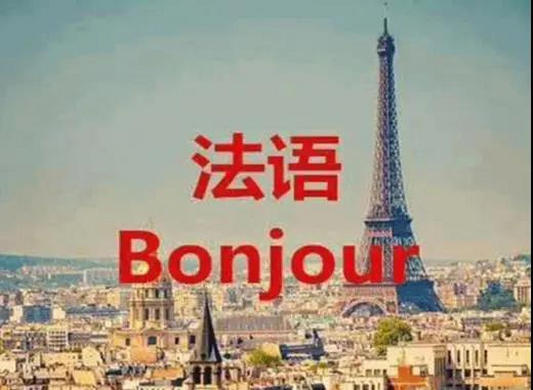 法语,是属于欧洲印欧语系罗曼语族的独立语言.