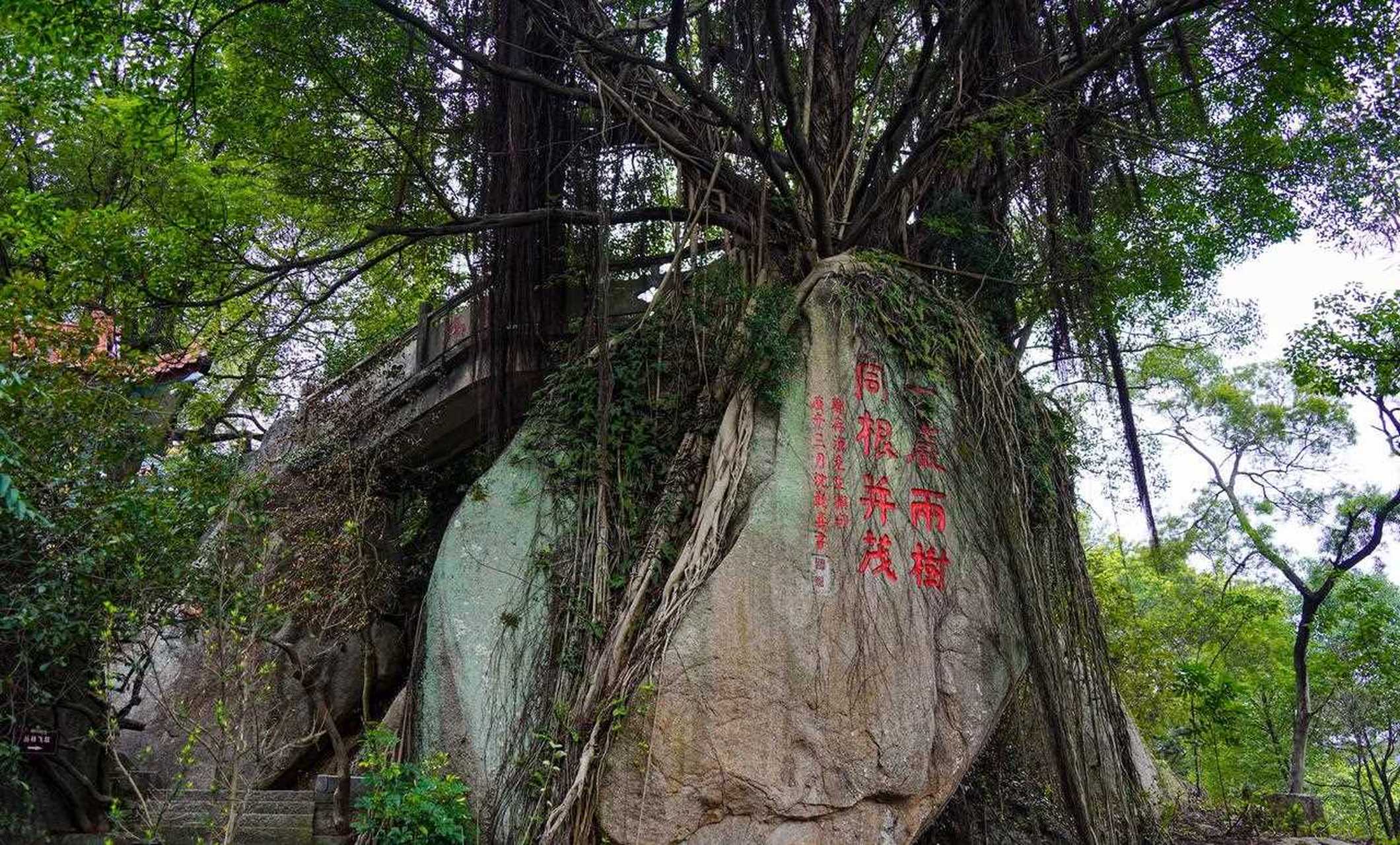 猴屿洞天岩图片