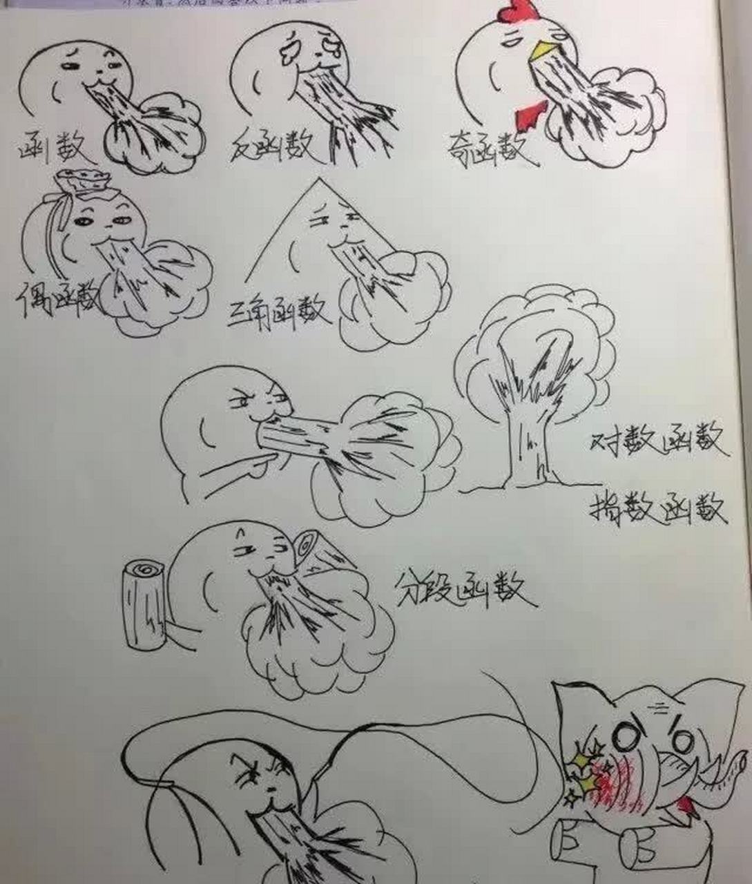 網友:可能是學函數的藝術生[沒眼看]