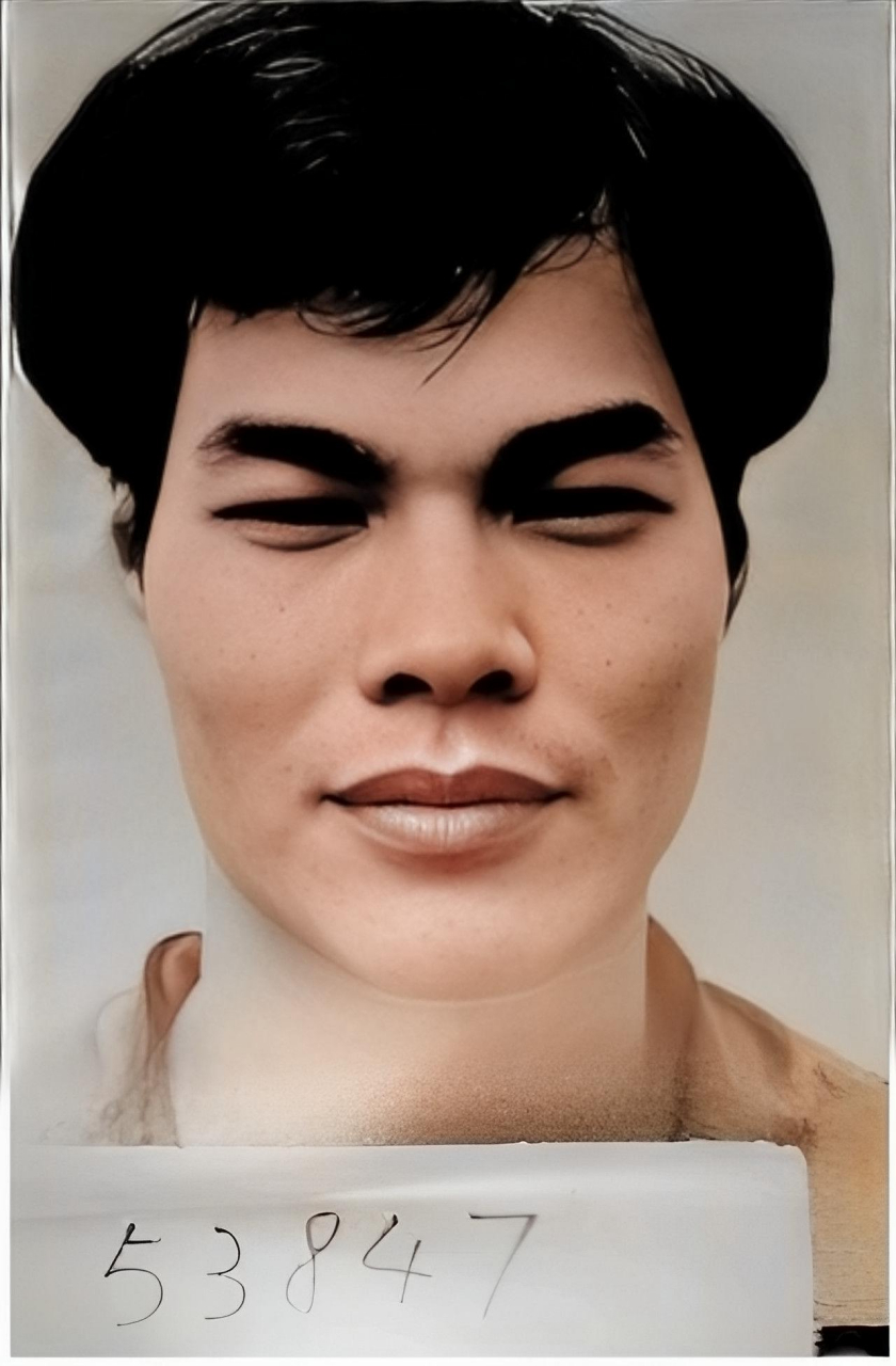 1996年,被香港警方逮捕的叶继欢正带着一些武器和西环山的两名同伙