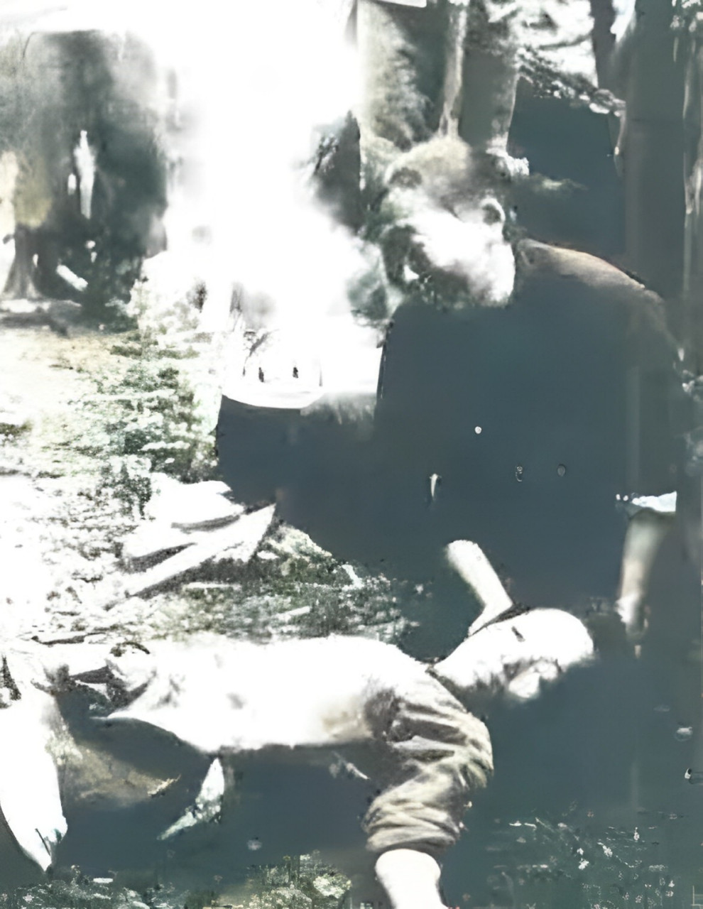 图1:一个被日本屠夫杀害的婴儿