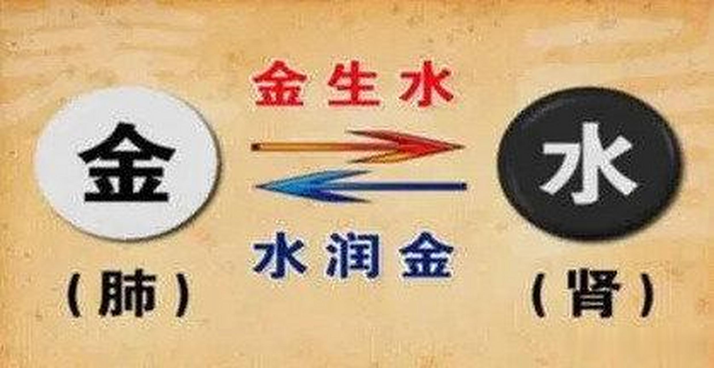 中医基础知识;金水相生,是一种什么样的治疗方法?