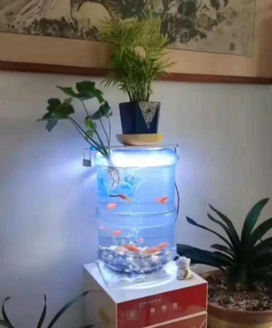 用这样废旧的饮水机当鱼缸也很好看啊