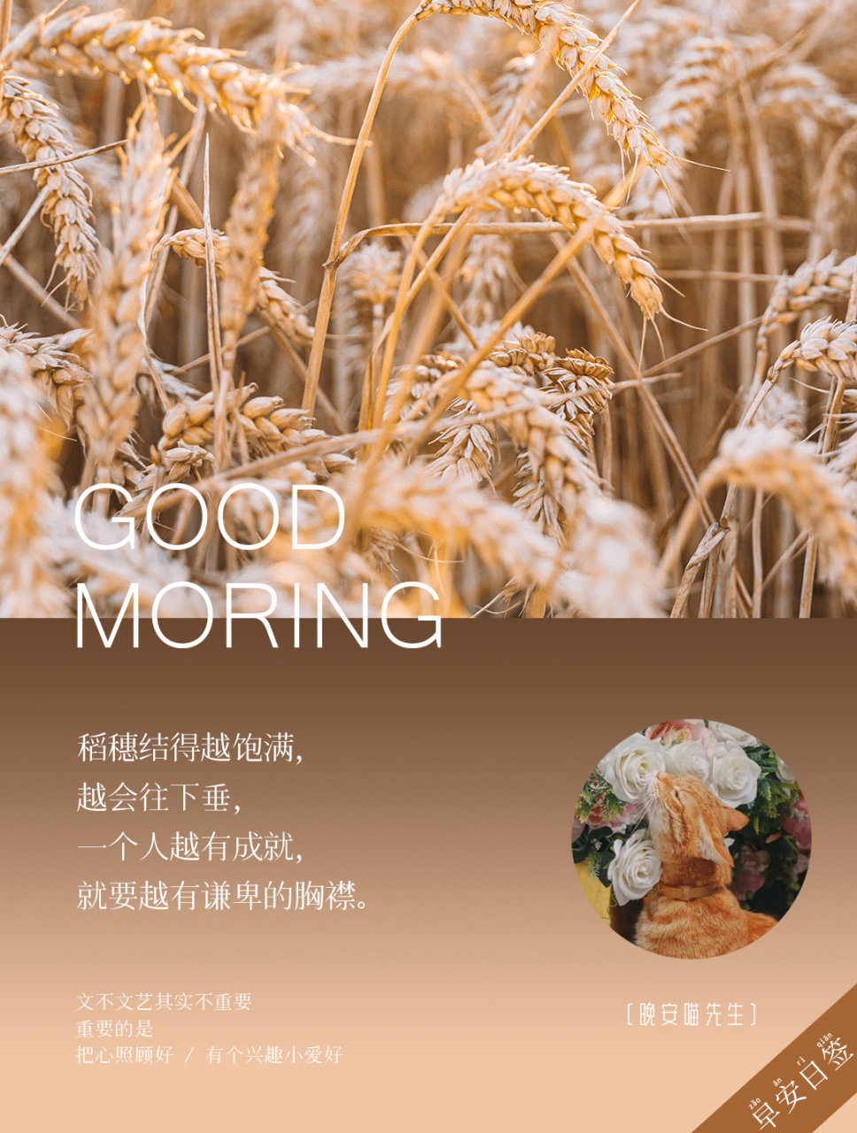 「日签」稻穗结得越饱满,越会往下垂,一个人越有成就,就要越有谦卑的