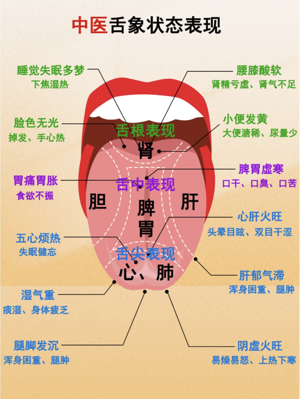 舌相病症图解图片