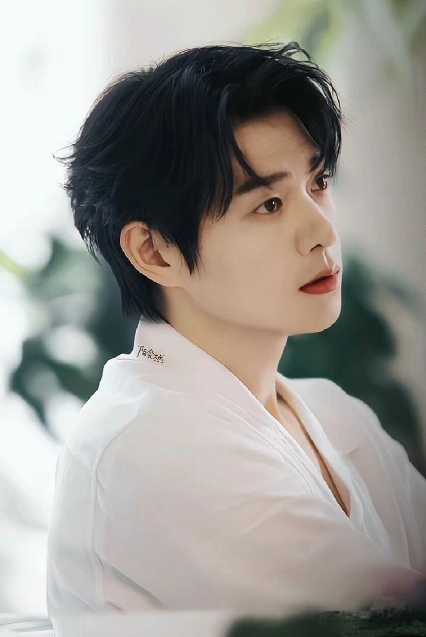 魏大勋 出生日期:1989年4月12日 出生地点:吉林省吉林市 生肖:蛇 星座