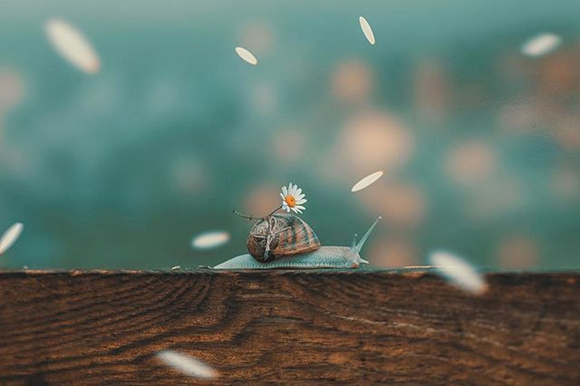 因为别人的评价,我们磨掉了多少棱角,丢掉了多少独一无二的性格;在乎