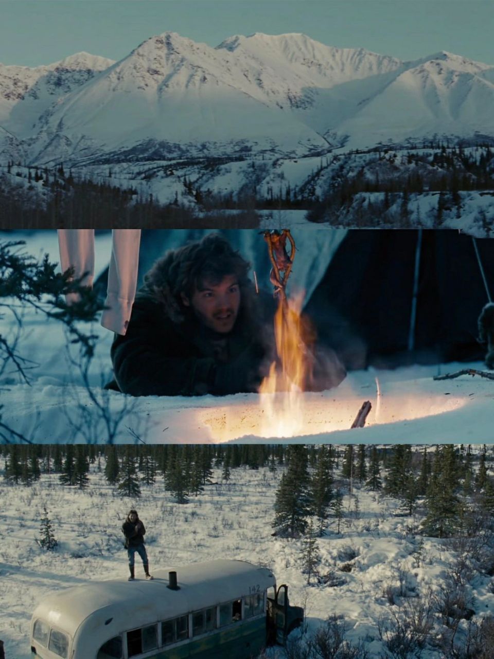 我怎么才发现这部电影 《荒野生存》 一个极端分子追求唯美的浪人