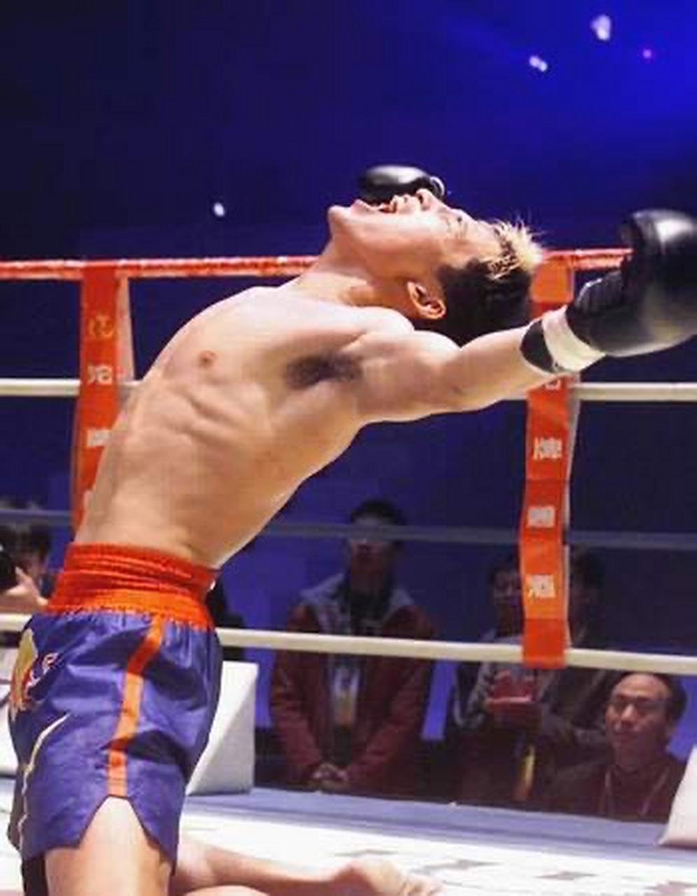 散打王#【荣登散打王,苑玉宝仰天长吼】2001年12月25日是属于苑玉宝