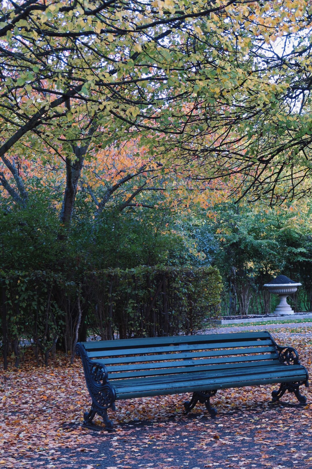 秋天来临regents park内的树叶也开始逐渐变