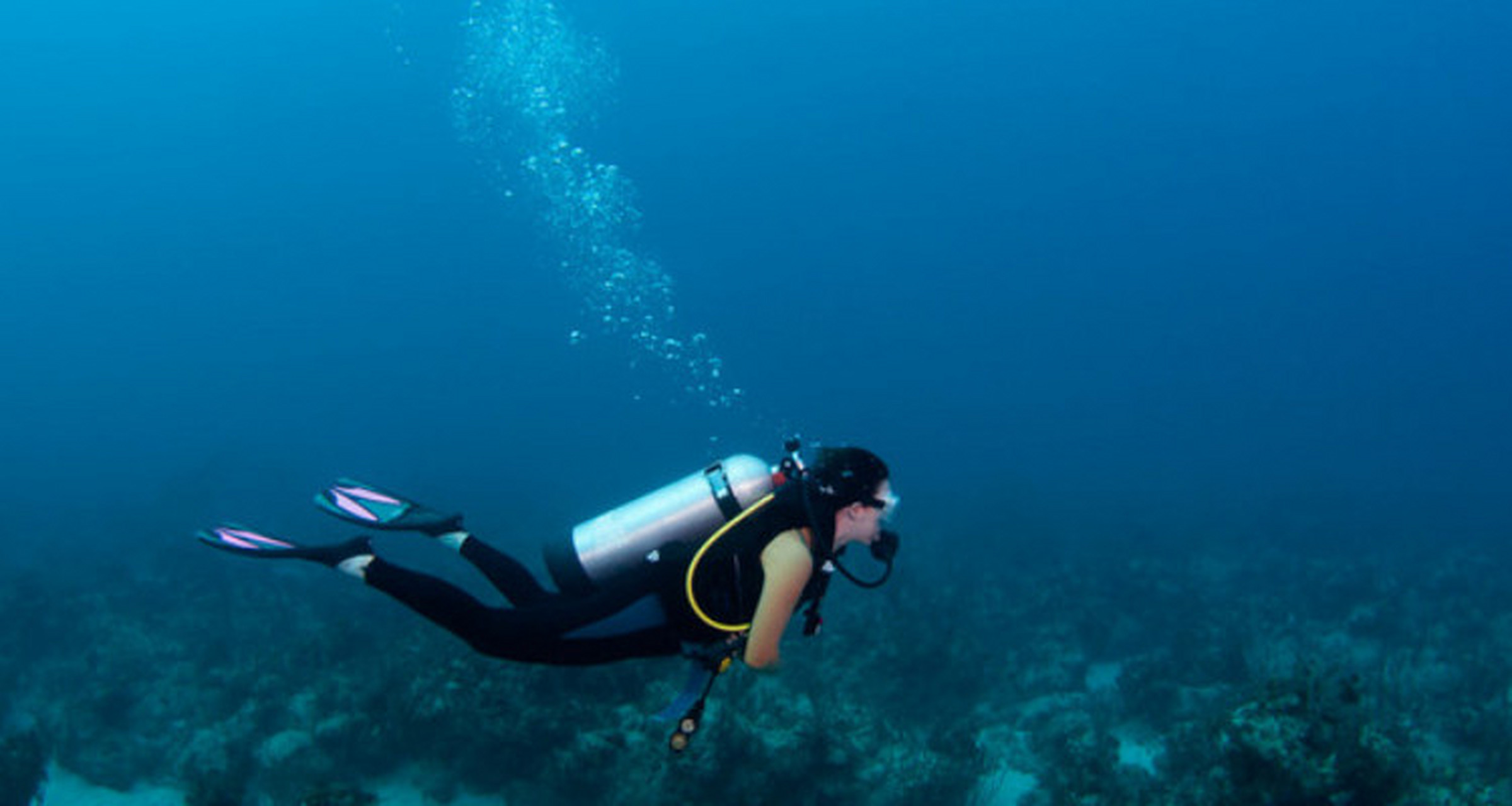 潜水员能干什么  潜水员能做的事情有很多,以下是一些具体的输出:  1