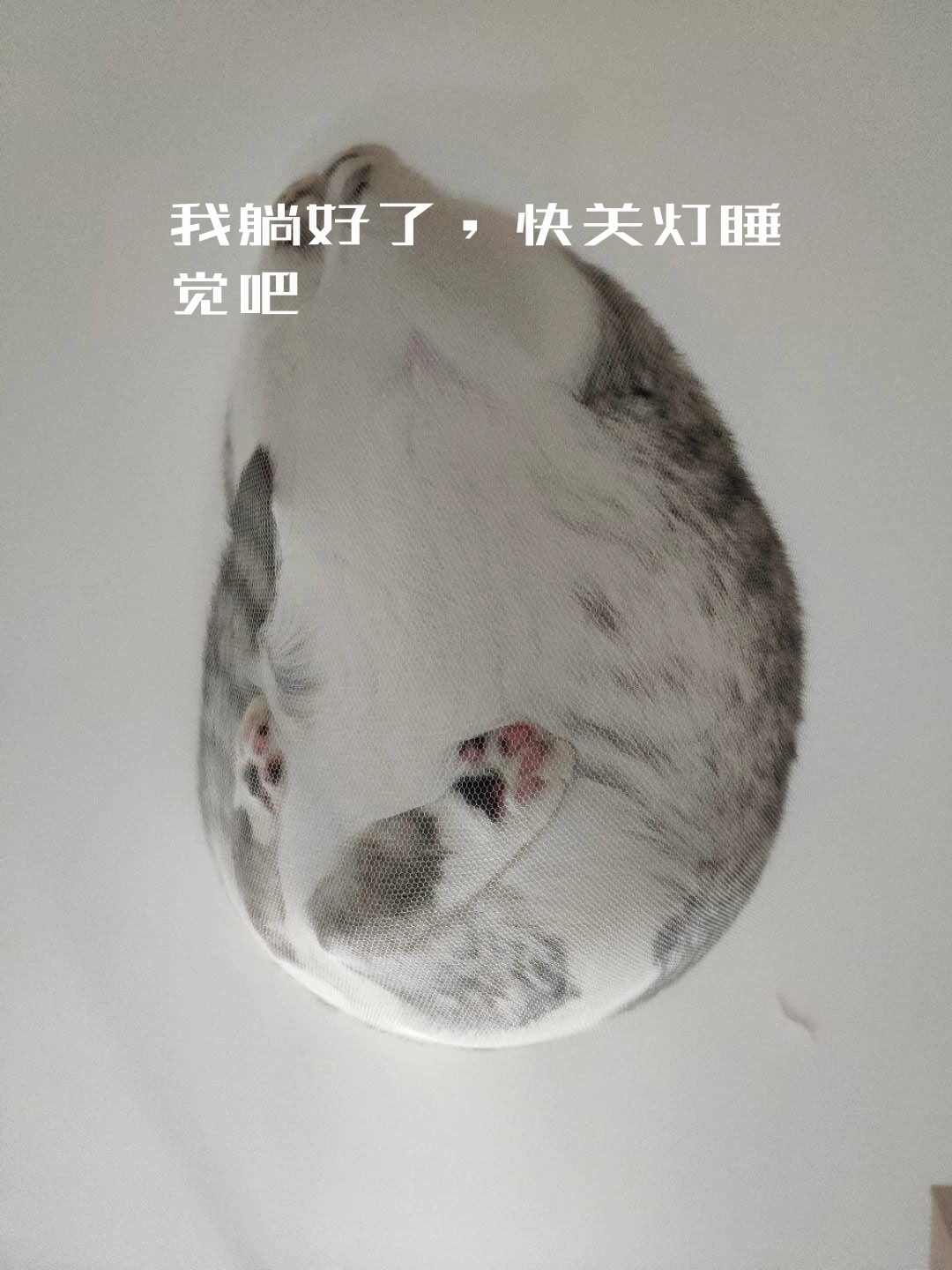 我躺好了,快关灯睡觉吧