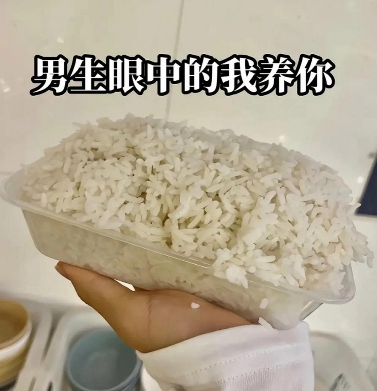 男生眼中的我养你vs女生眼中的我养你[期待]