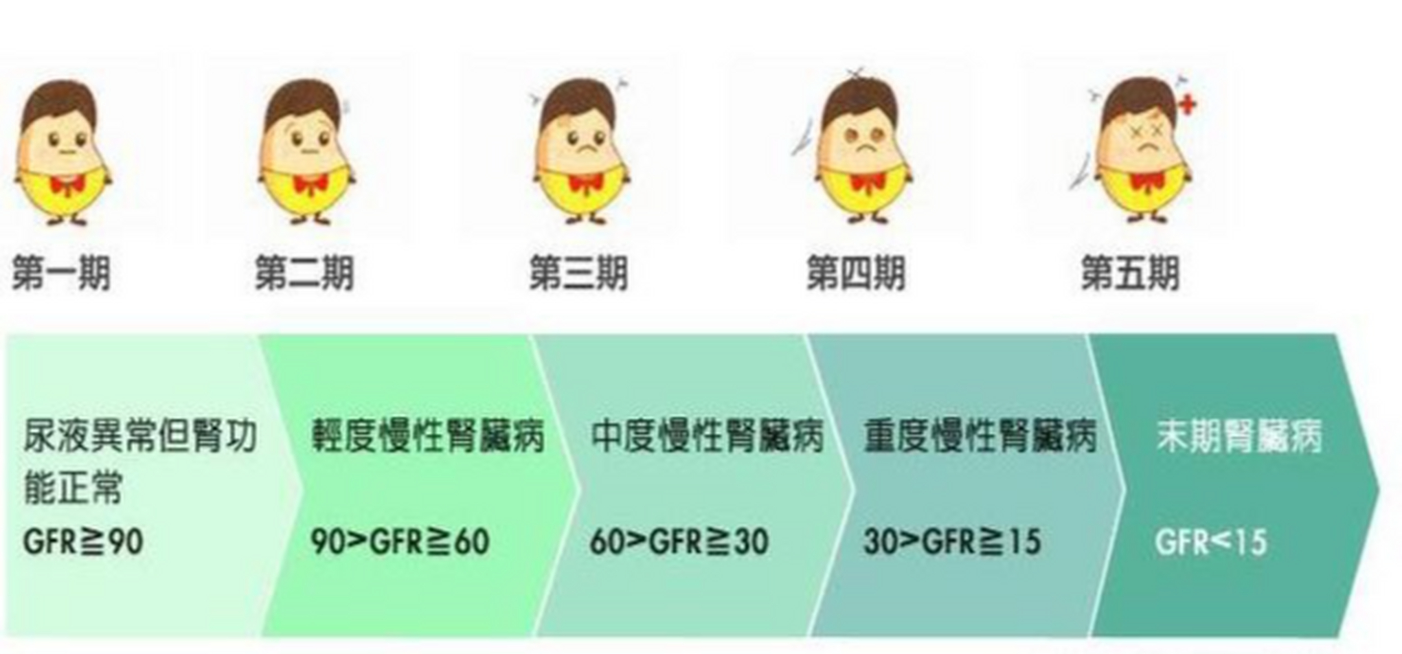 分期的标准是肾小球滤过率——评价肾功能的"金标准",这个指标是什么
