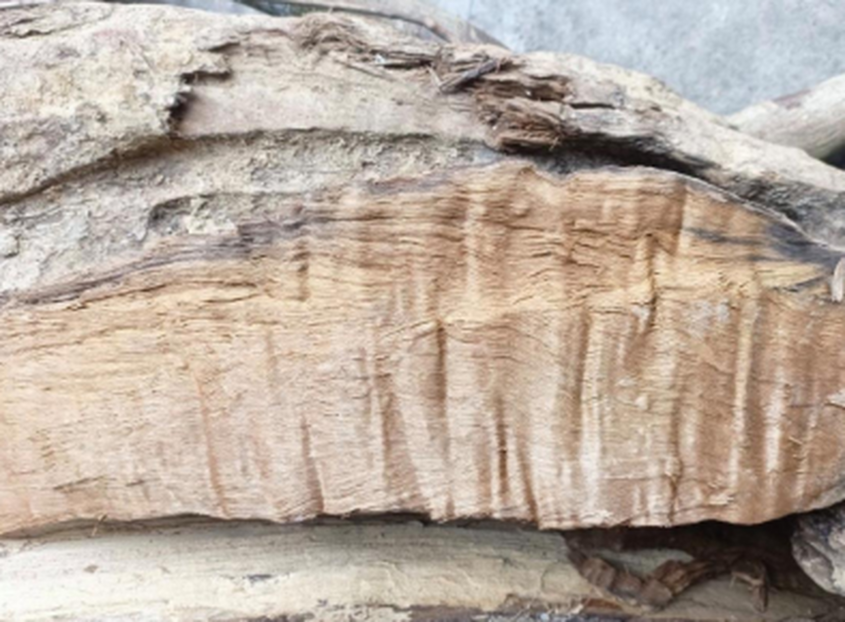 帮忙看看是不是金丝楠木