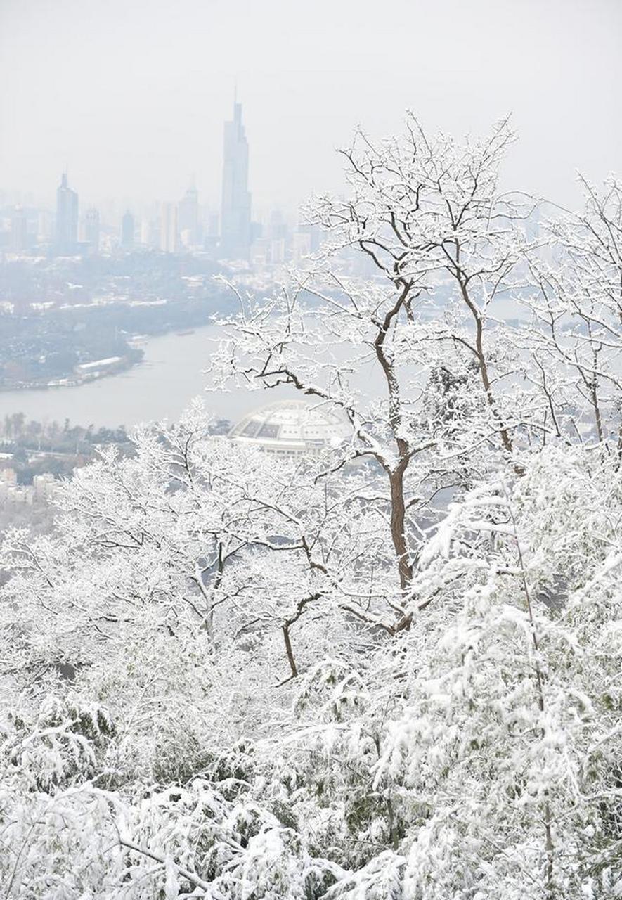 南京雪景紫金山图片