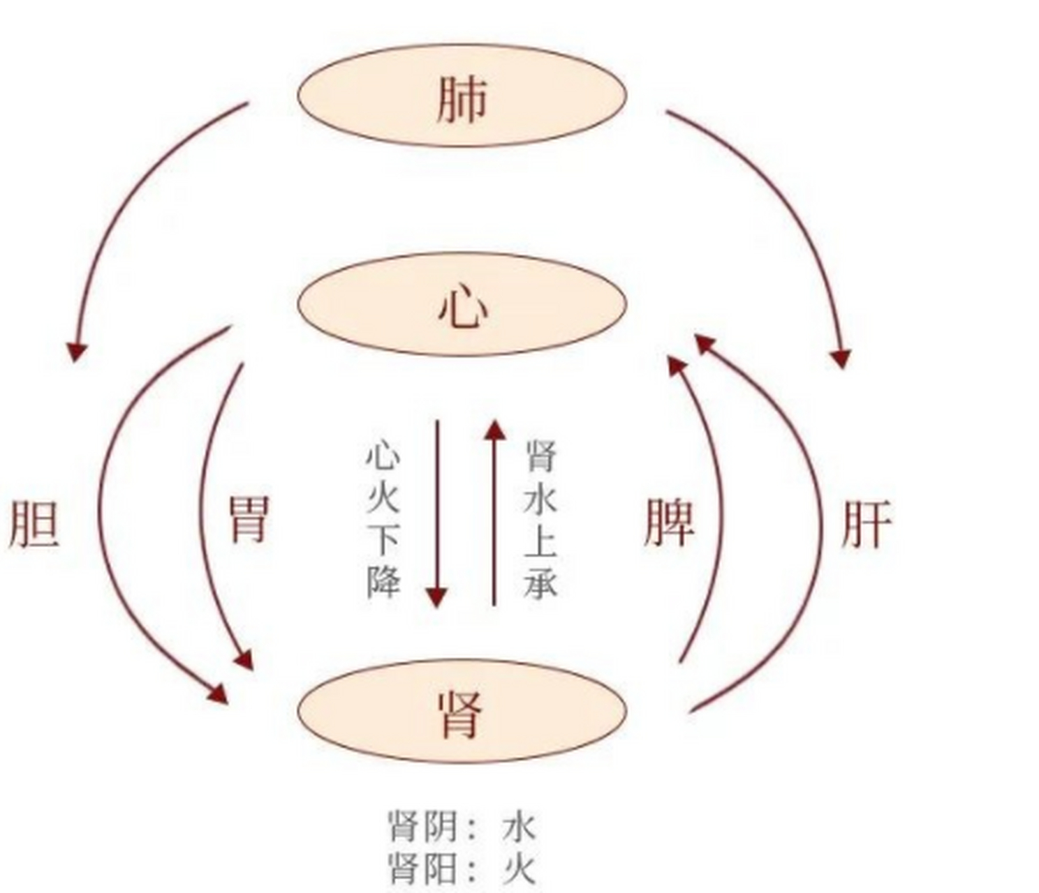 上热下寒中焦不通,中医教你怎么调理 主要症状:口