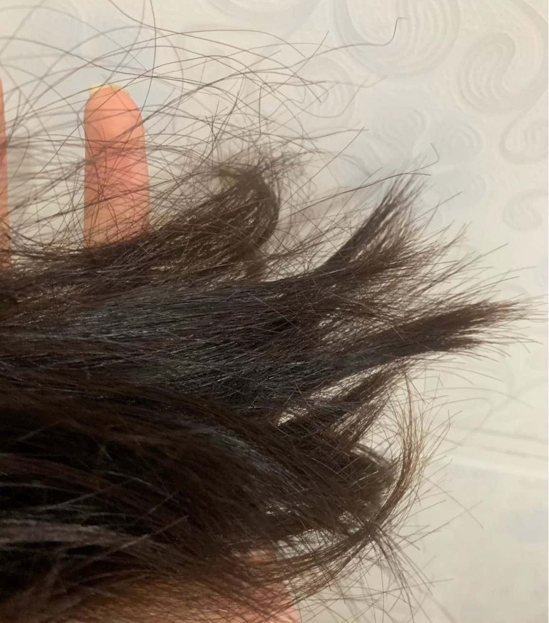 椰子油护发有用嘛 范冰冰护发冰冰的 头发太让人羡慕了, 我的用法比较