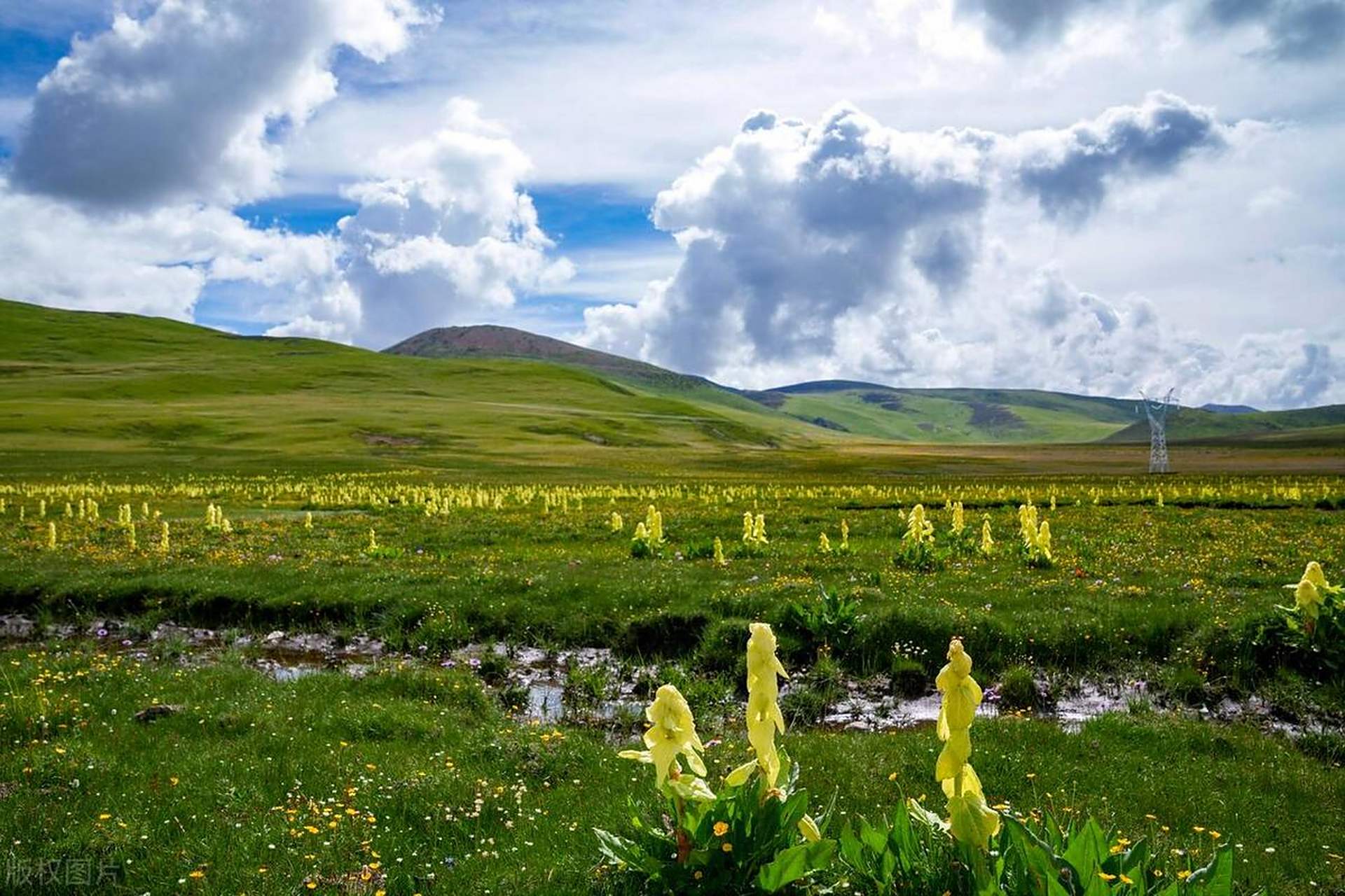 02  毛垭大草原距离丁真的故乡理塘县城仅一小时车程,是川西的一个