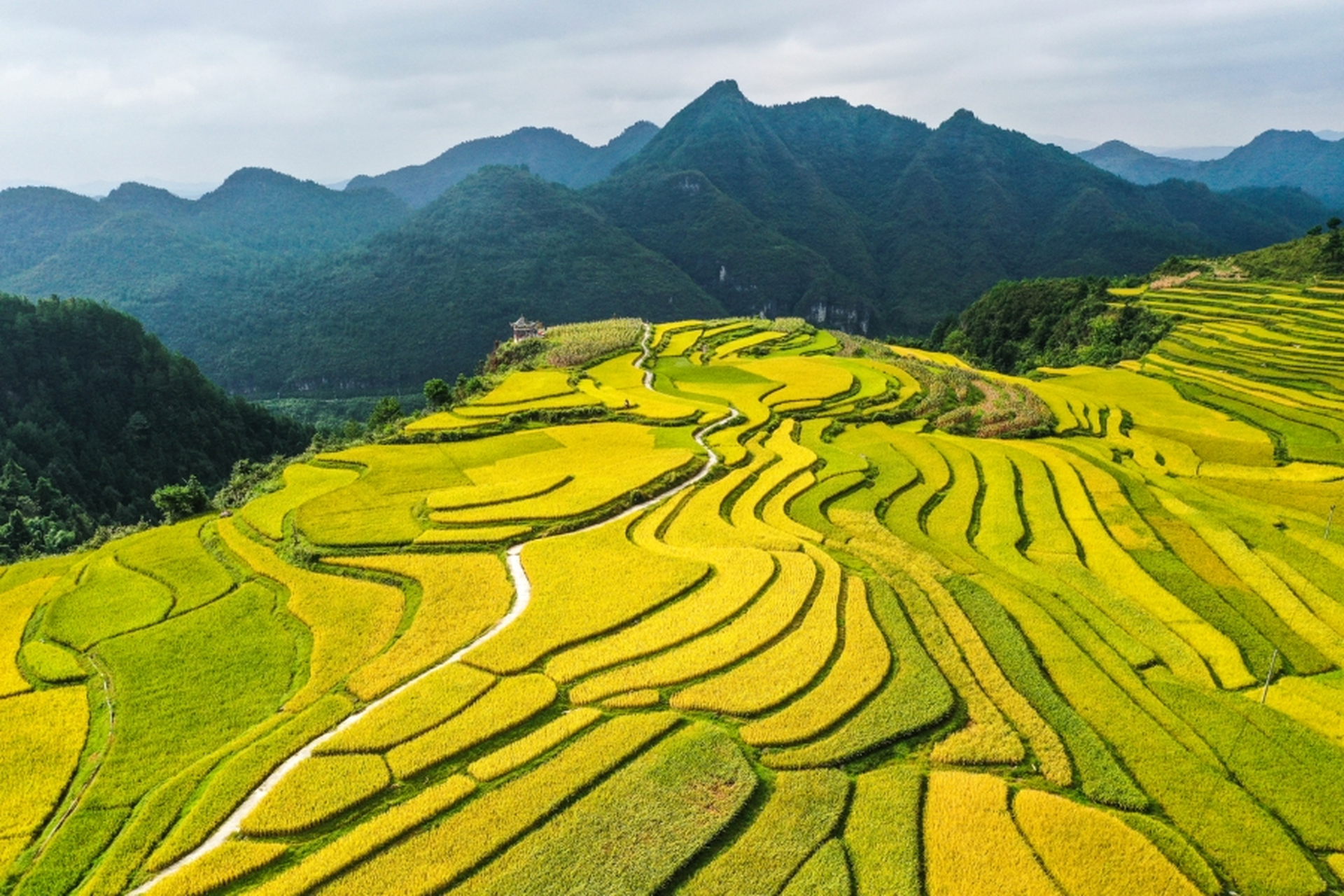 【贵州好"丰"景】近日,贵州省黔南布依族苗族自治州贵定县沿山镇腊利