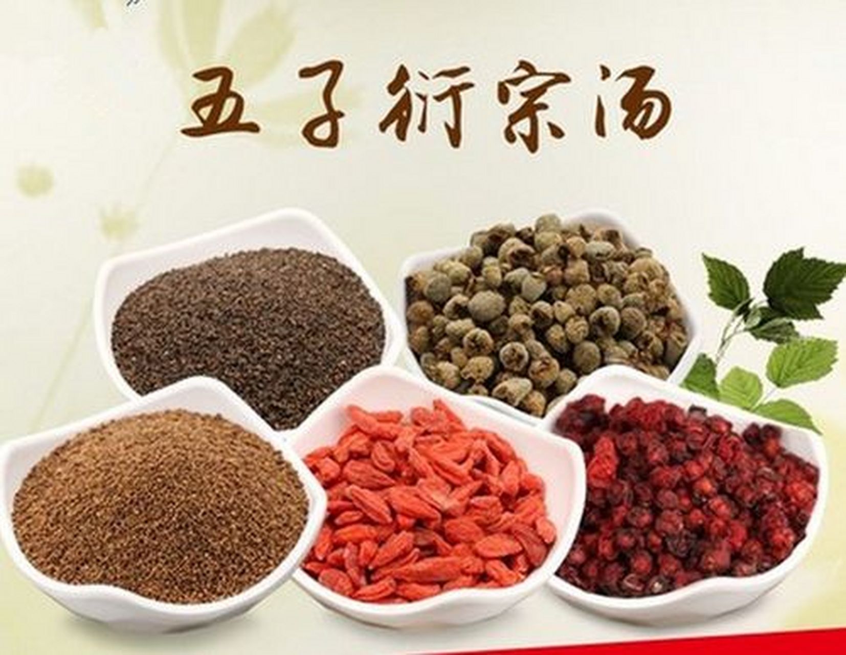 男性自己在家就可以做"五子衍宗汤!