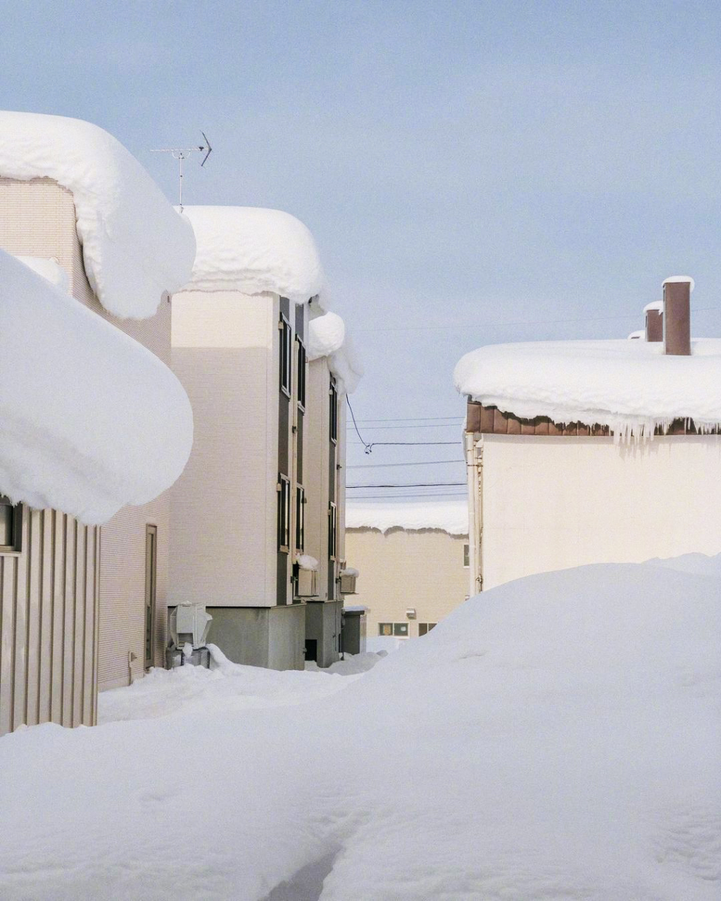 北海道的浪漫雪景