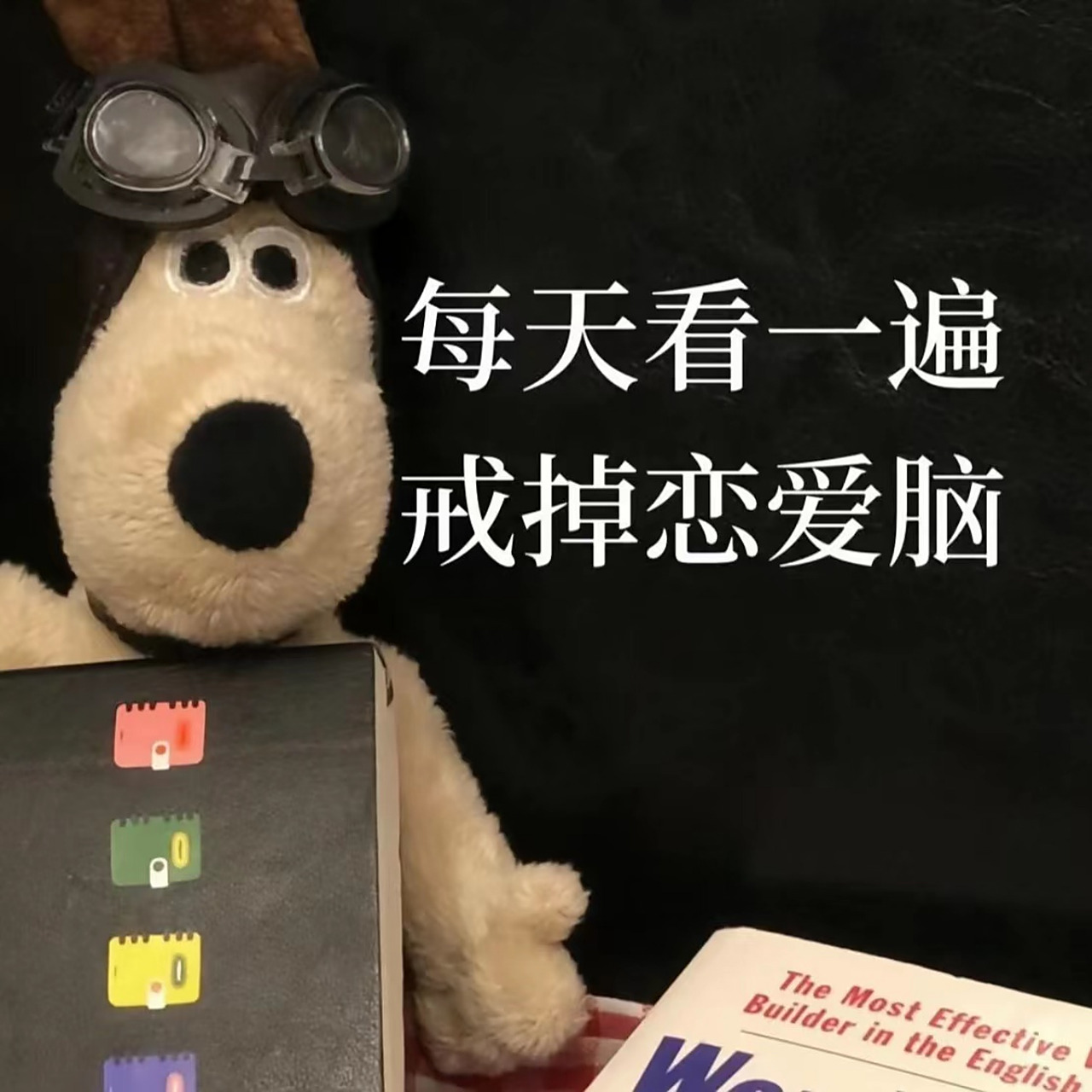 我为什么要谈恋爱