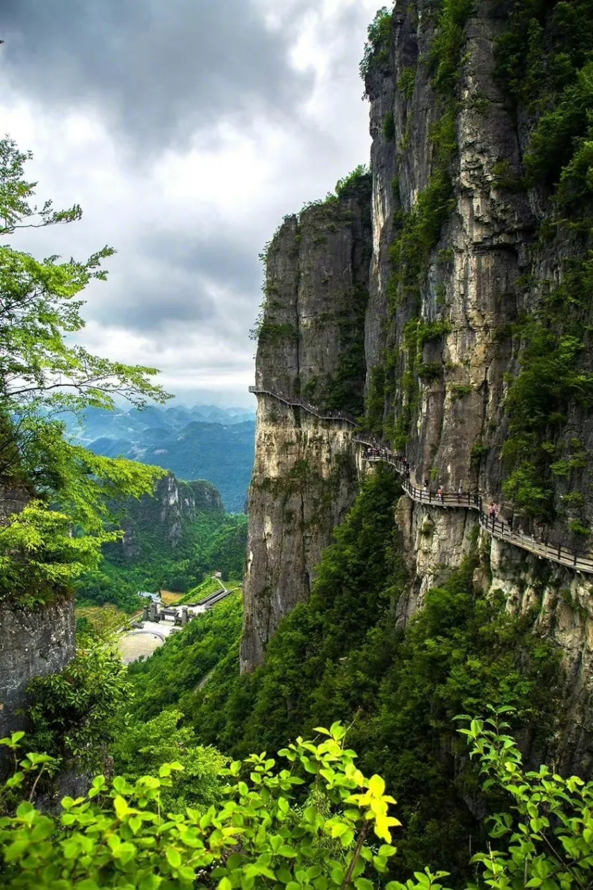 湖北恩施鹤峰屏山峡谷图片