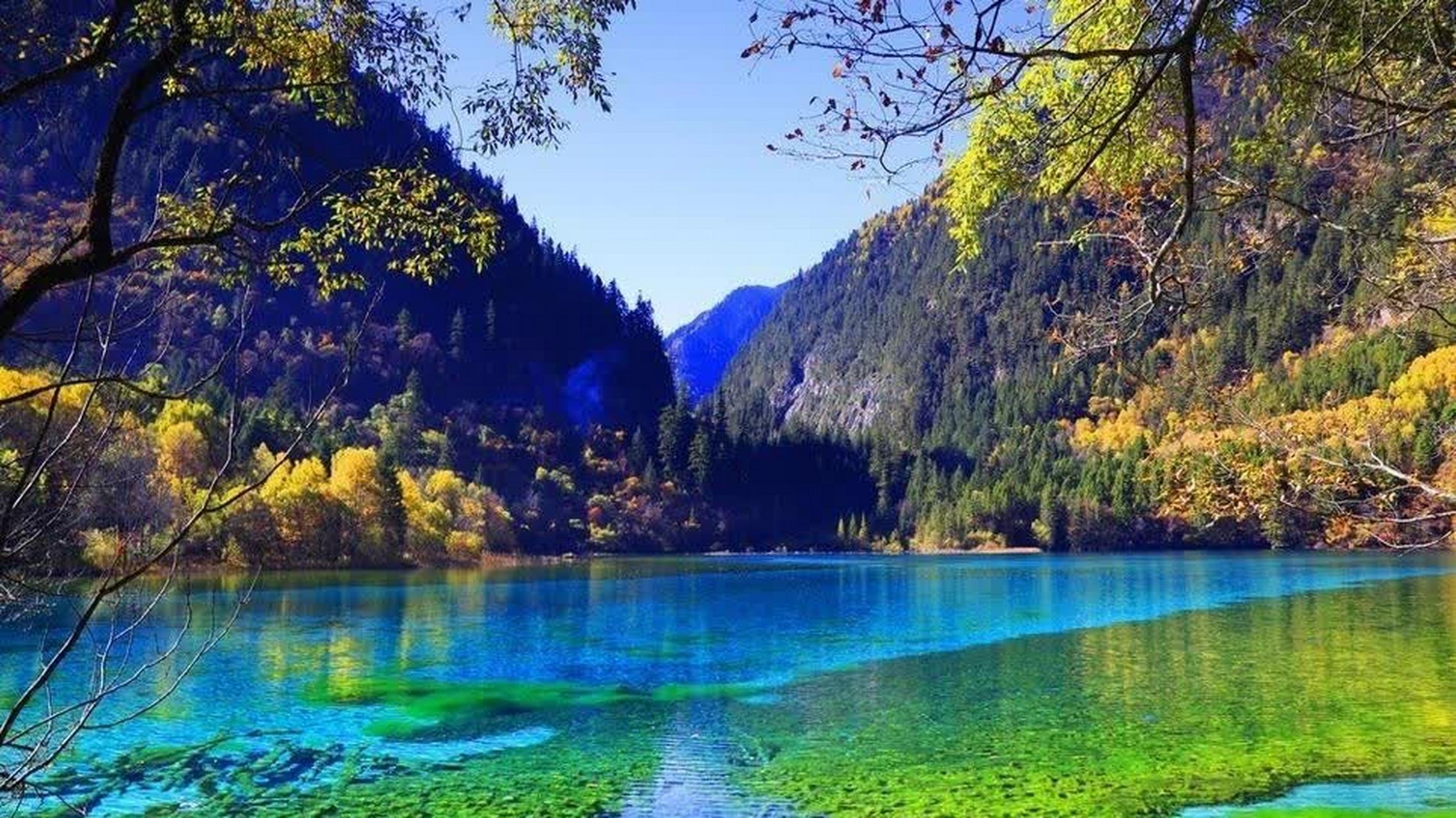 世界上最美的风景,九寨沟,是画中的世外桃源.