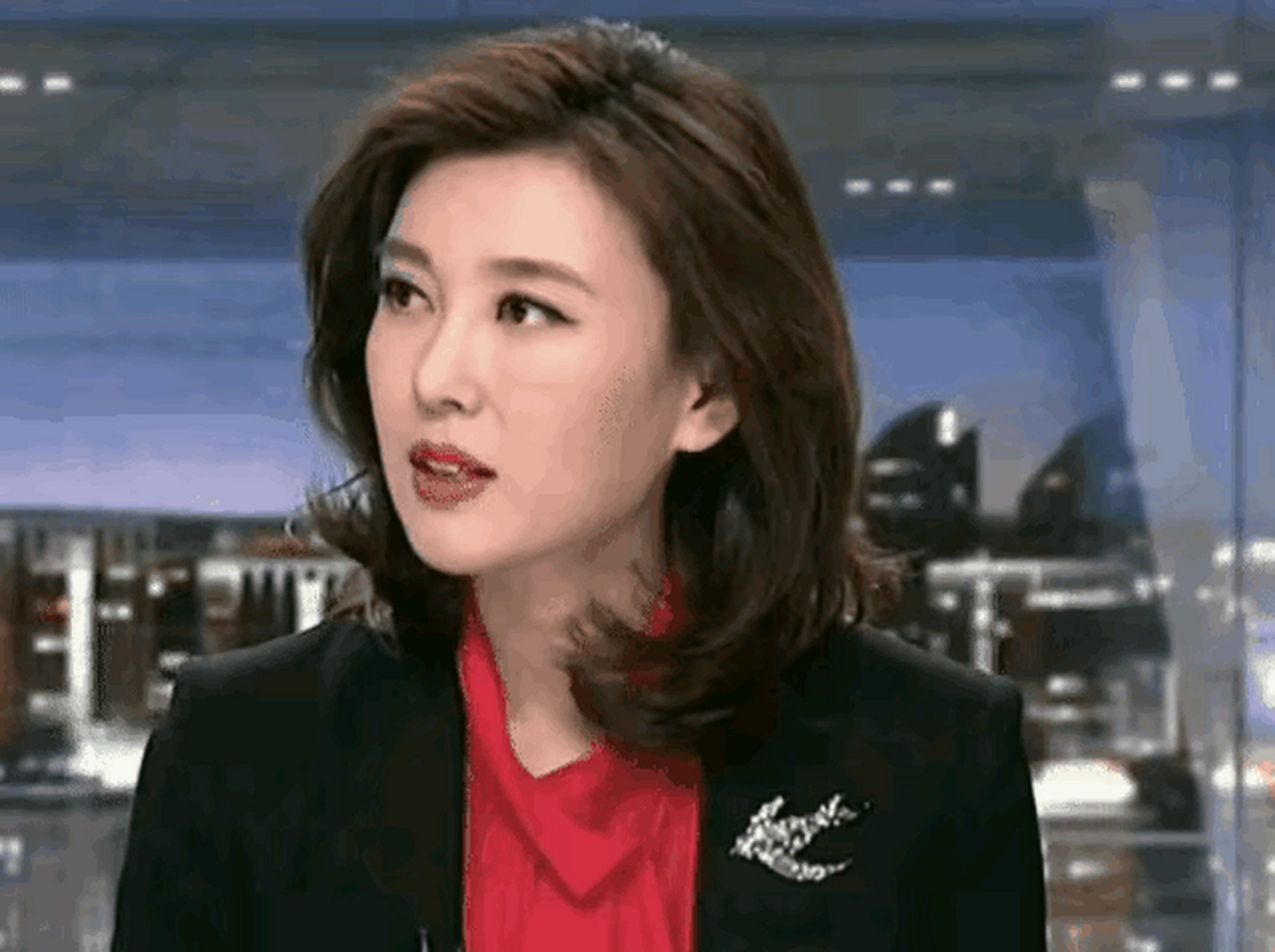 央视主持人李红 大美女李红,才貌出众,稳健大方,相貌美如花,应该