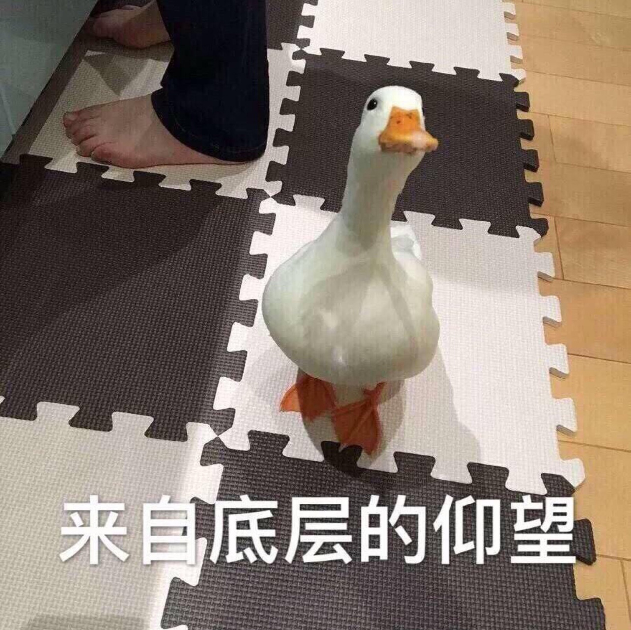 我普通话没这么差吧.#搞笑