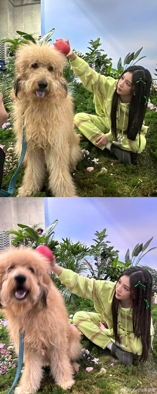 宋妍霏分享自己近照,身穿绿色衣服,手拿苹果可爱极了#宋妍霏下班随拍