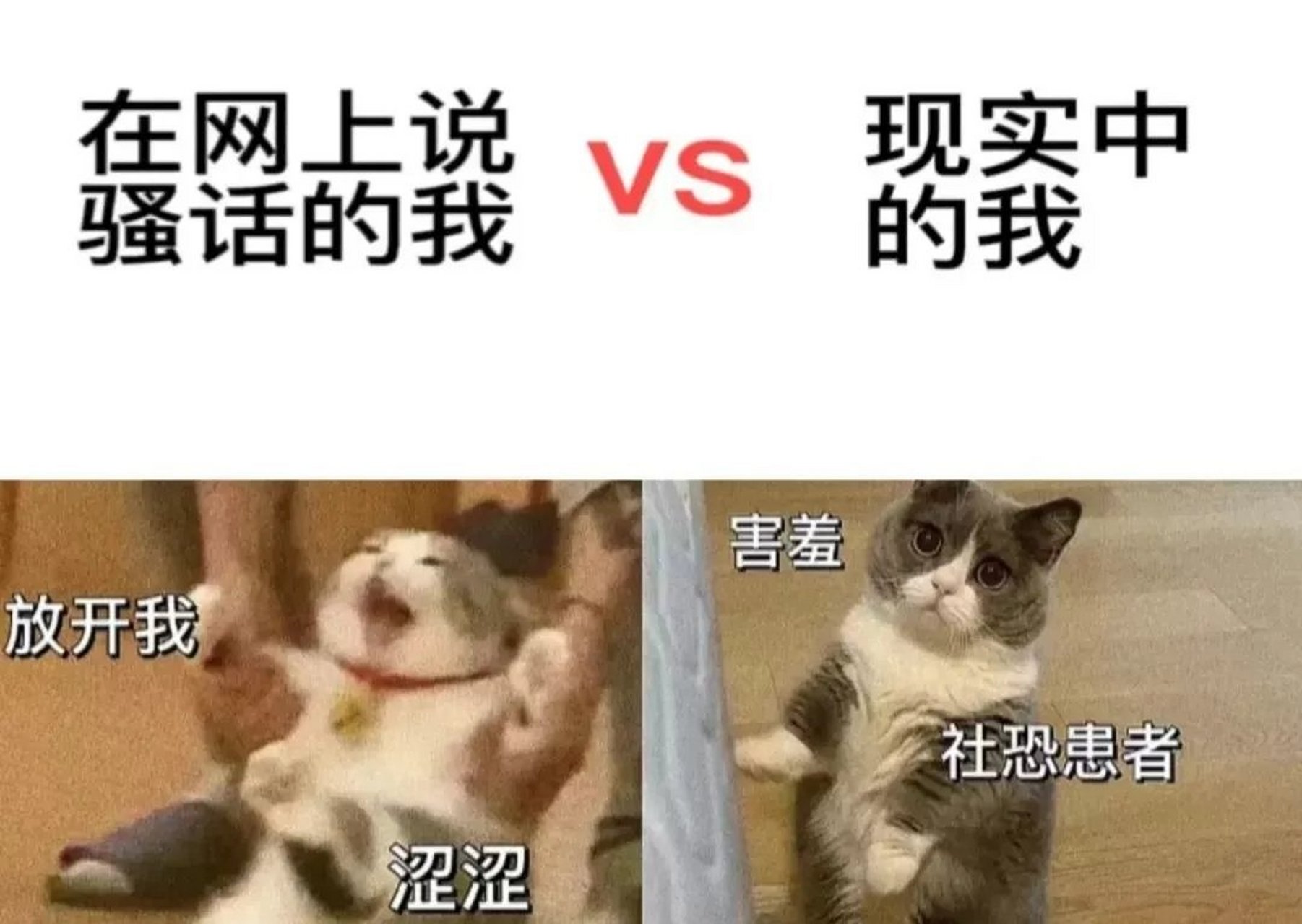 在网络上说骚话的我  vs  现实中的我