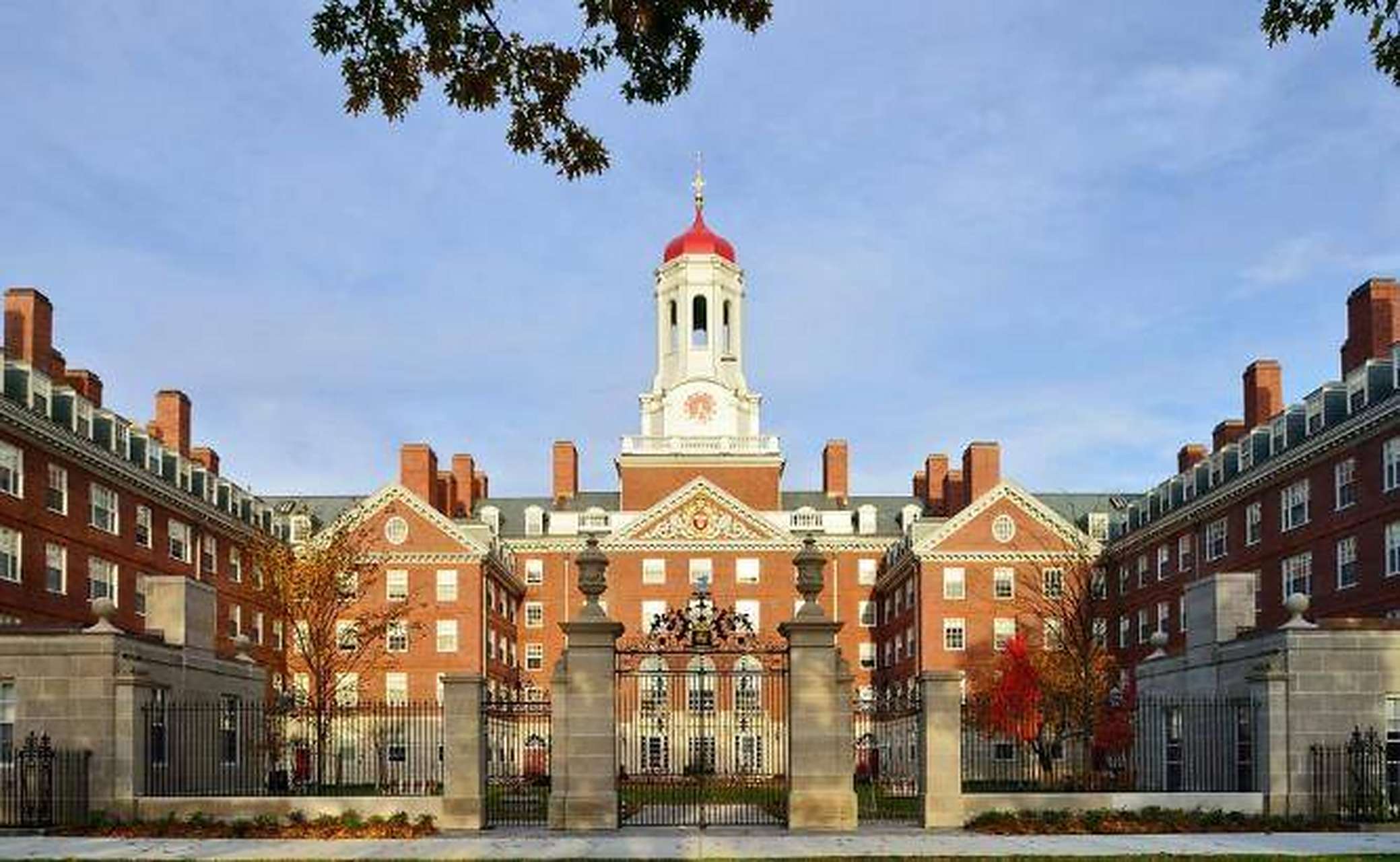 哈佛大学图书馆的墙上,写着这样的话:"我荒废的今日,正是昨日殒身之人