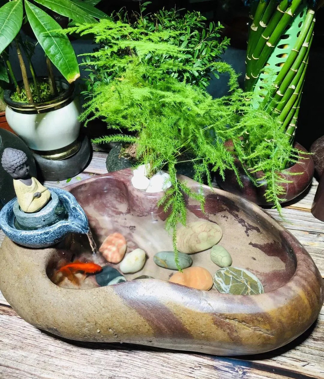 mcn风帆计划#彩墨小鱼缸,摆放阳台,办公桌,茶几,意境十足