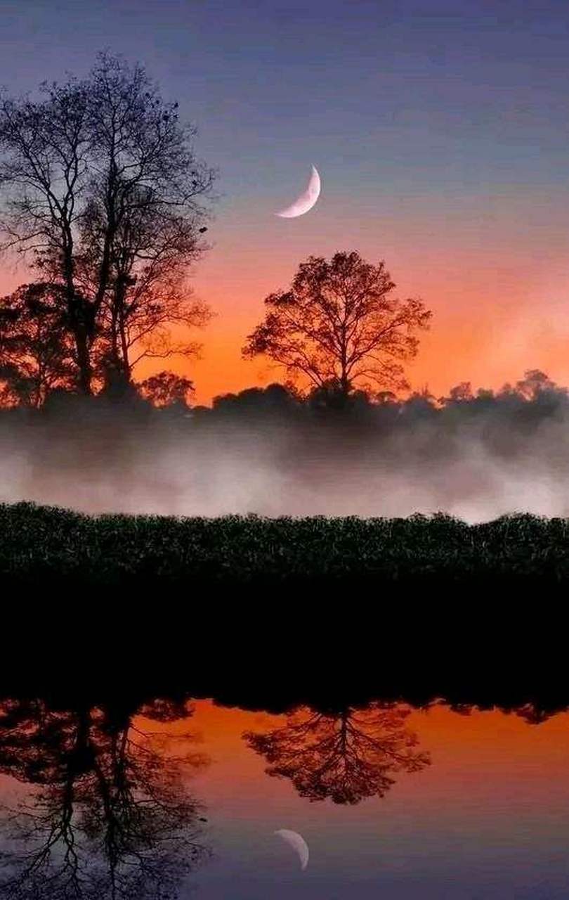 一弯月,十丈岗, 草枯蟋蟀夜嘶鸣.  虫悲暮秋秋易逝, 风虽矫健终无形.