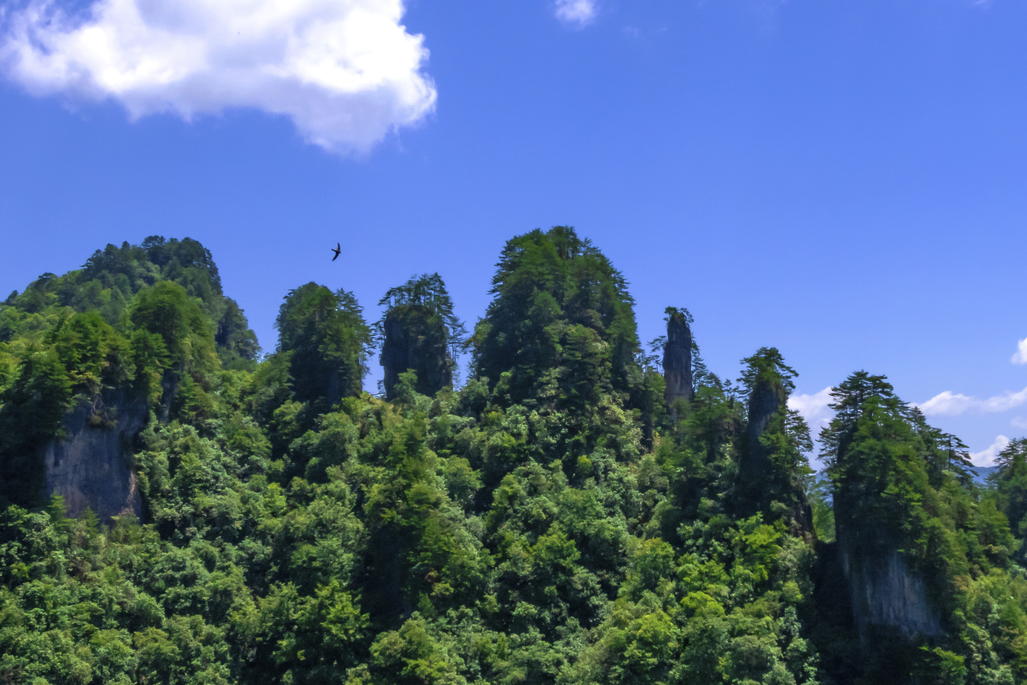 四川南江光雾山,壮美的山水画卷,惬意的避暑胜地