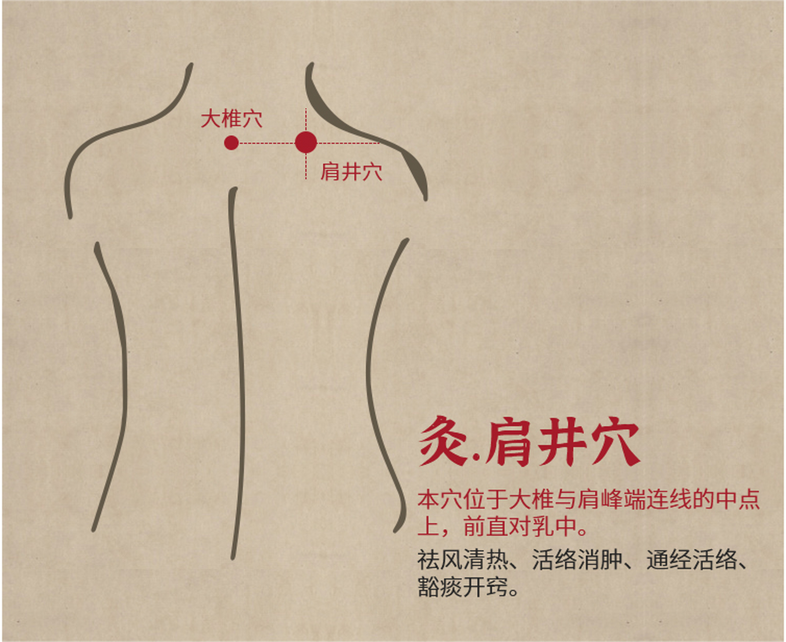肩井穴有祛风清热,活络消肿的功效,通经活络,豁痰开窍的作用.