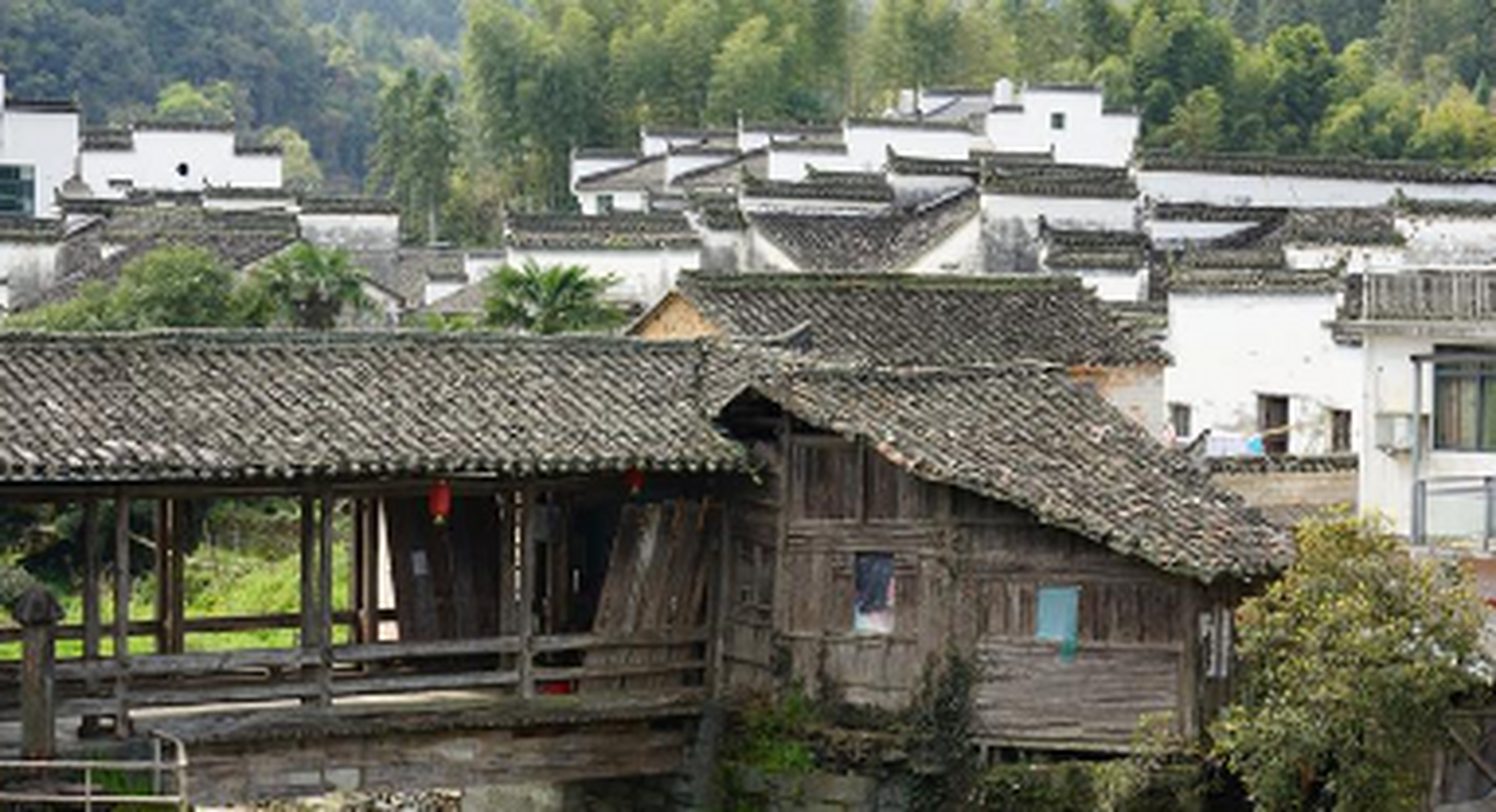 思溪延村是婺源"北线"上的一个景点,因为距离县城不远,第一站我们便