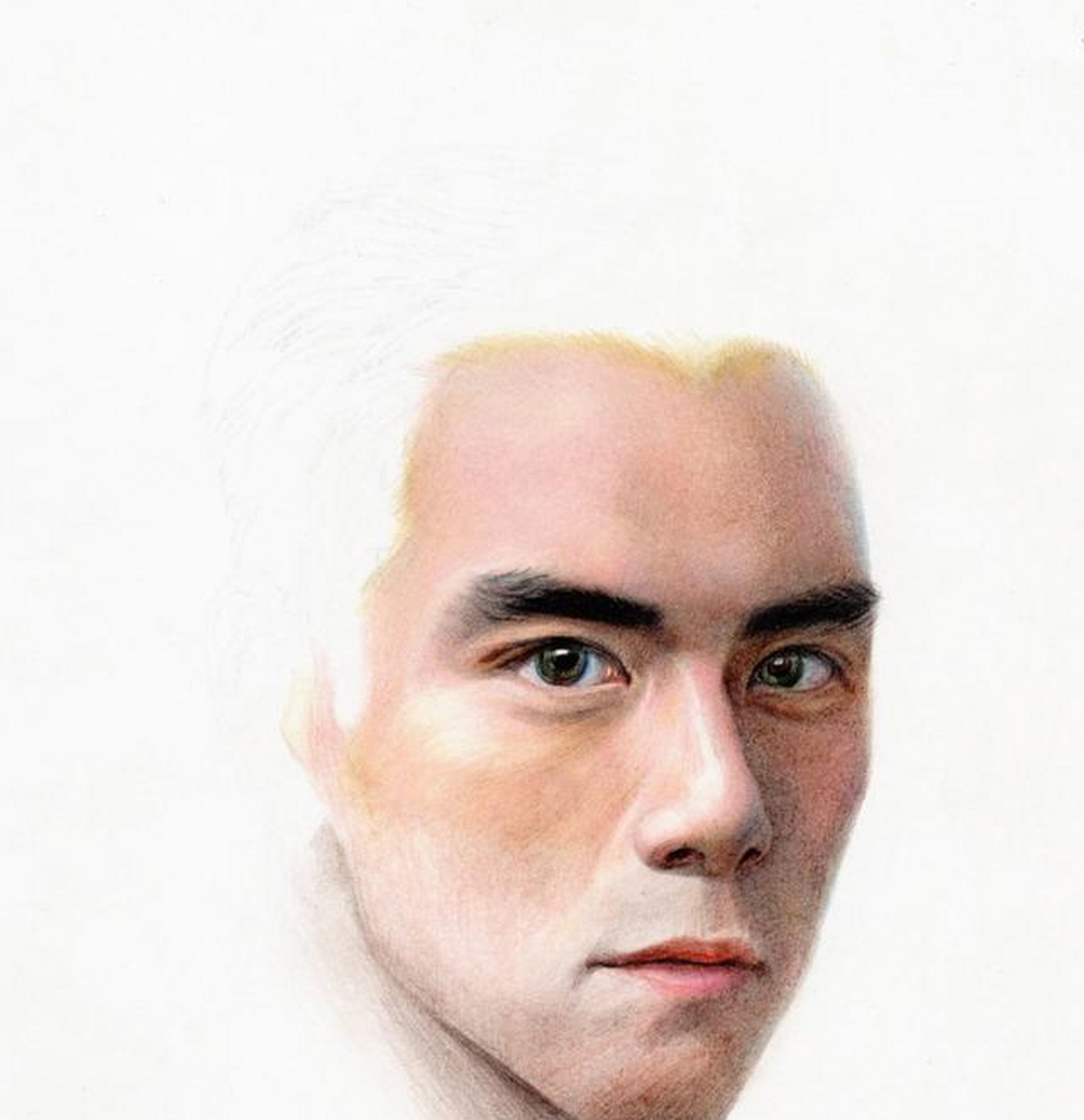 彩铅 明星肖像 临摹