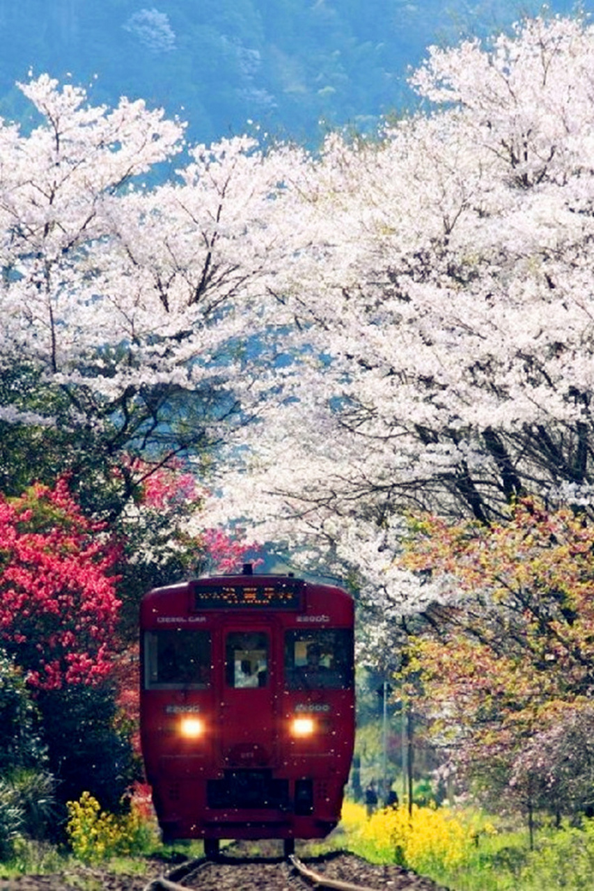 大智慧者必谦和,大善者必宽容,大骄傲者往往谦逊平和.
