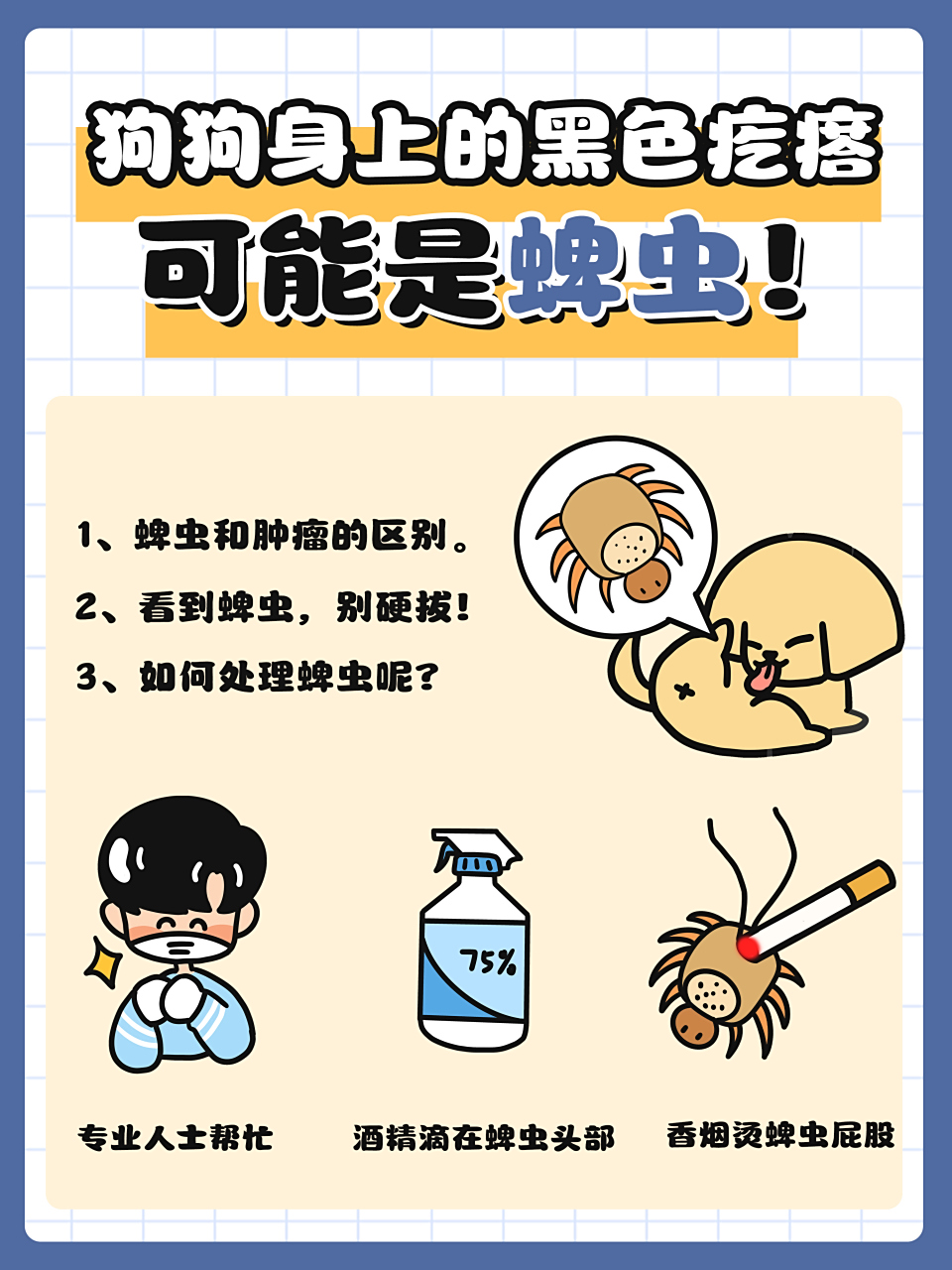 狗狗身上有蜱虫怎么处理?