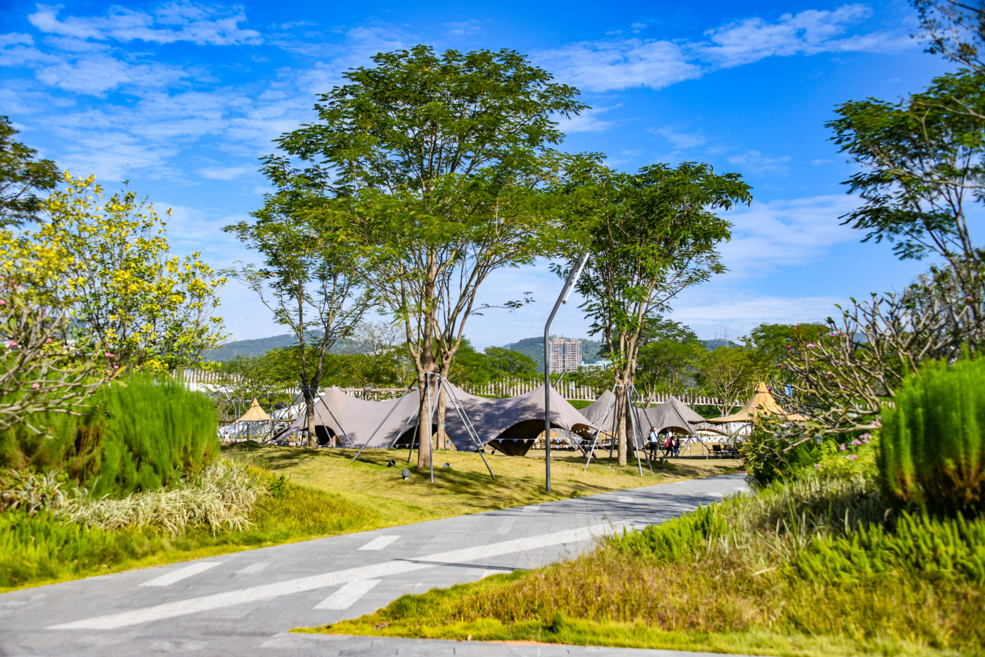 #玩遍深圳# 深圳周末好去处,一起去笔架山体育公园吧!  推荐理由:空气