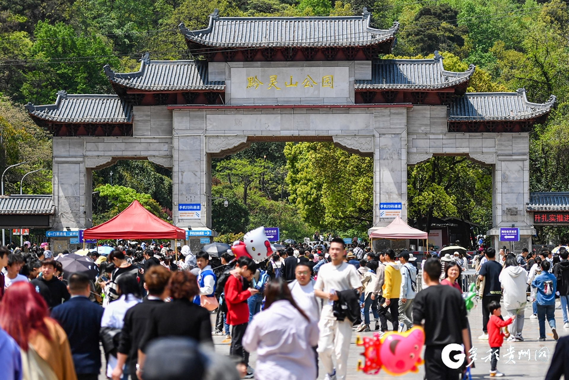 5元门票,就能在贵阳黔灵山公园看动物界"顶流"——熊猫的撒娇卖萌!