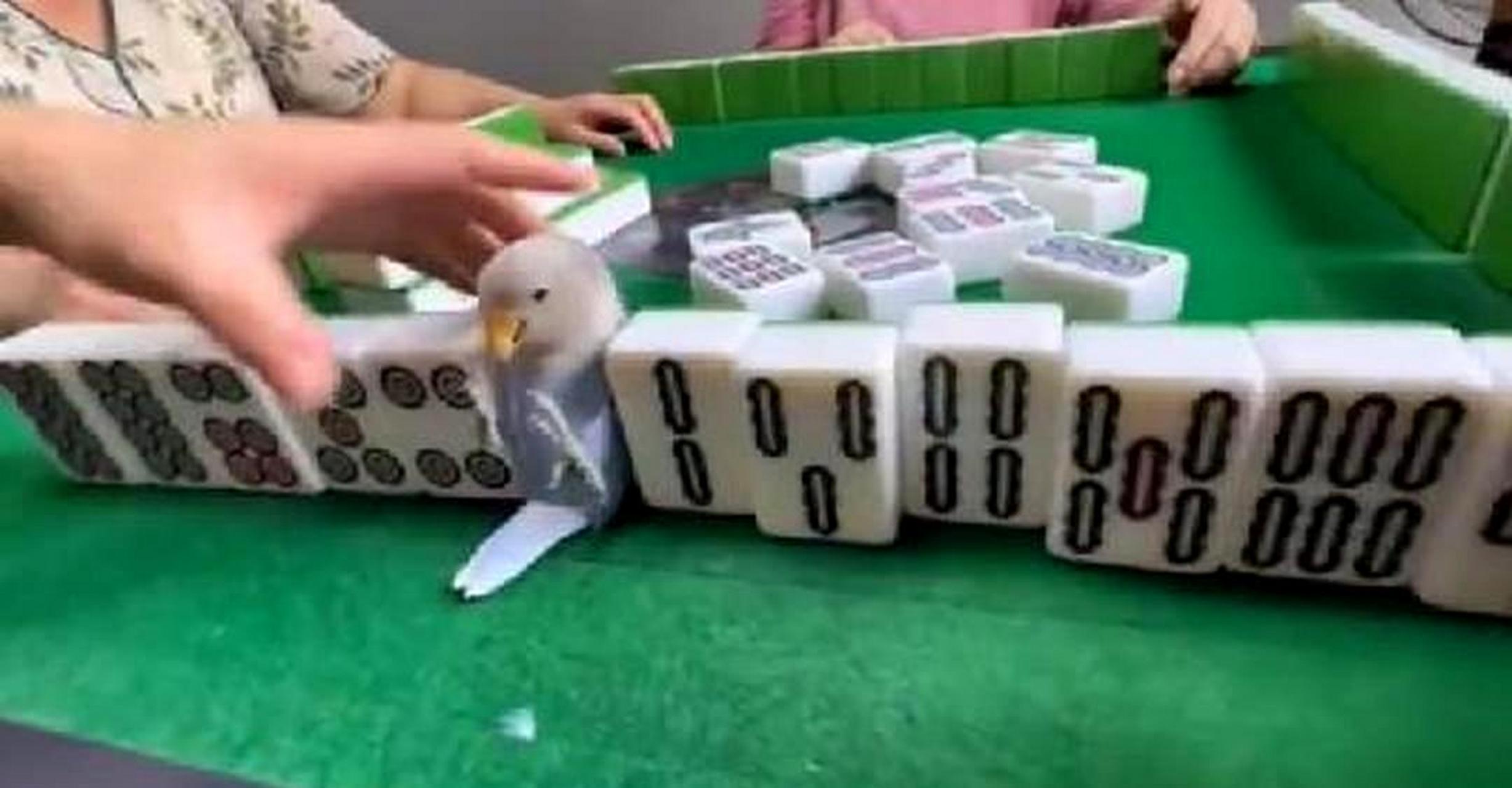 我在打麻将时缺少了一只幺鸡.