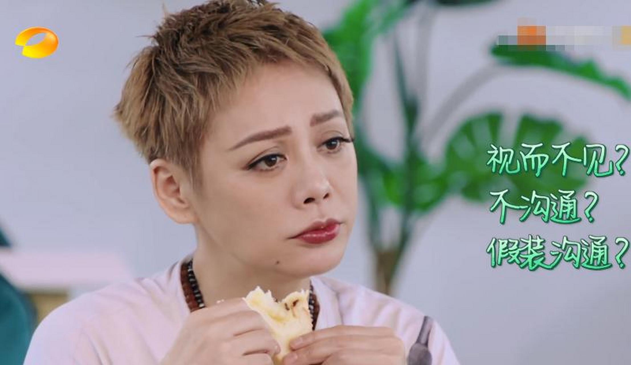 百家号星火计划# 宁静找黄晓明聊天,宁静:我想知道你折磨别人是拭么