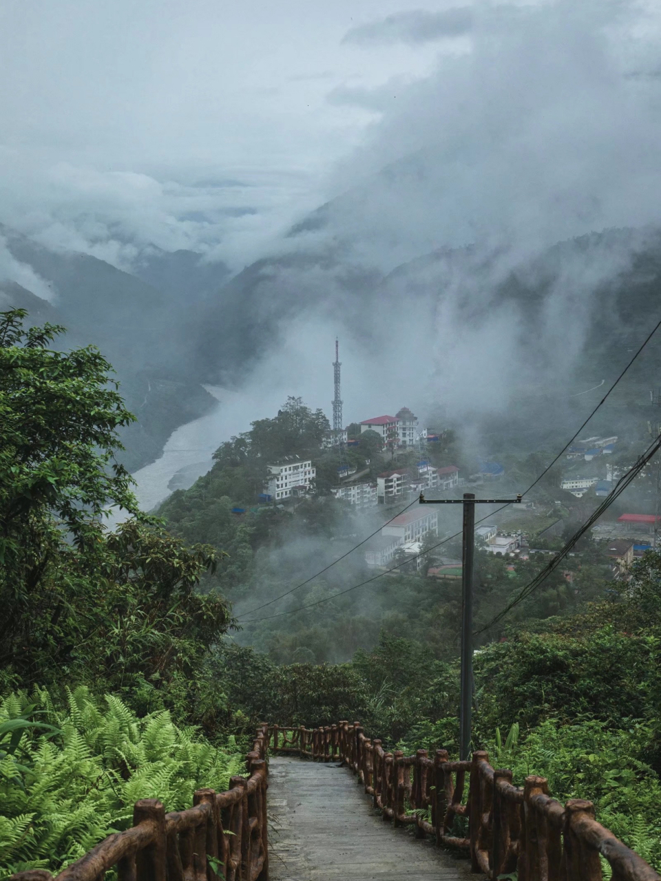 墨脱蚂蝗山图片